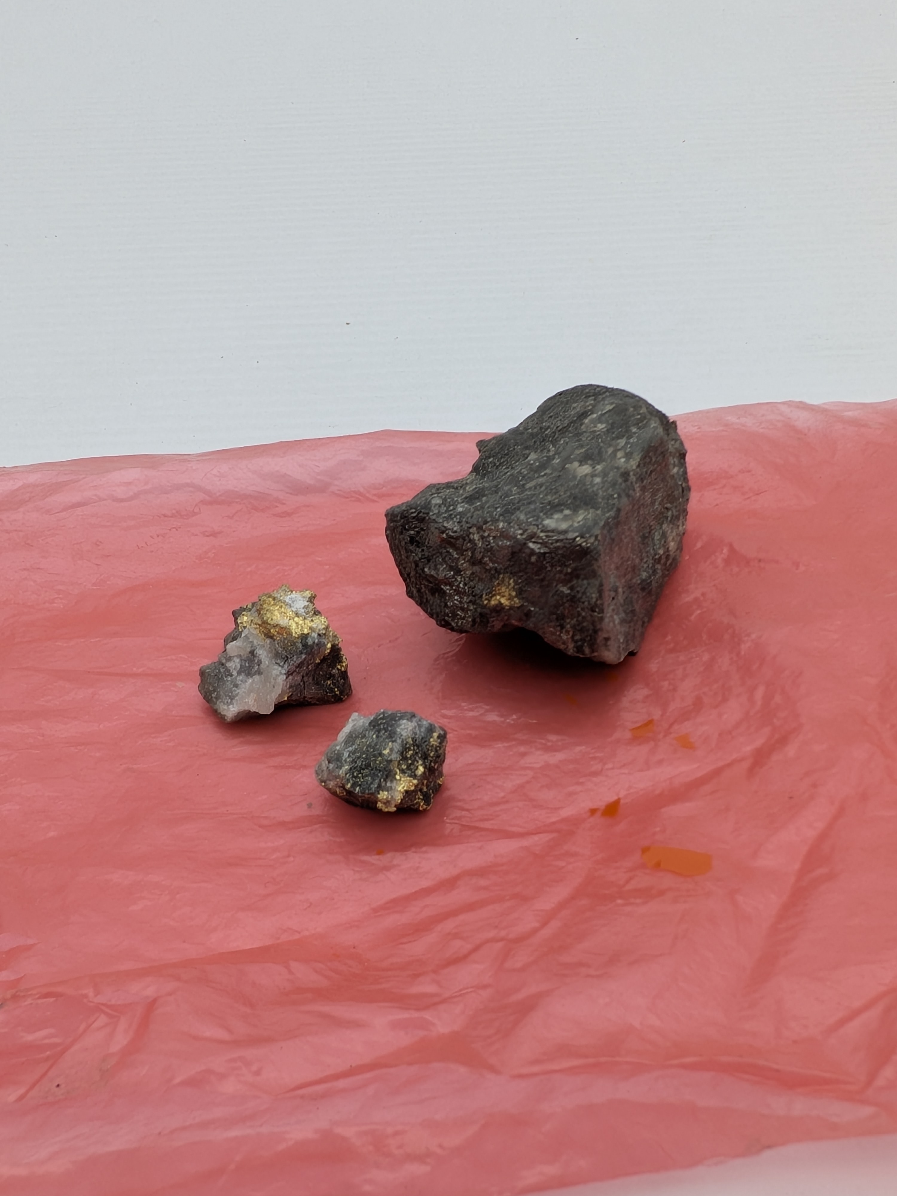 Gold Bearing Rock Specimens — Lot 004