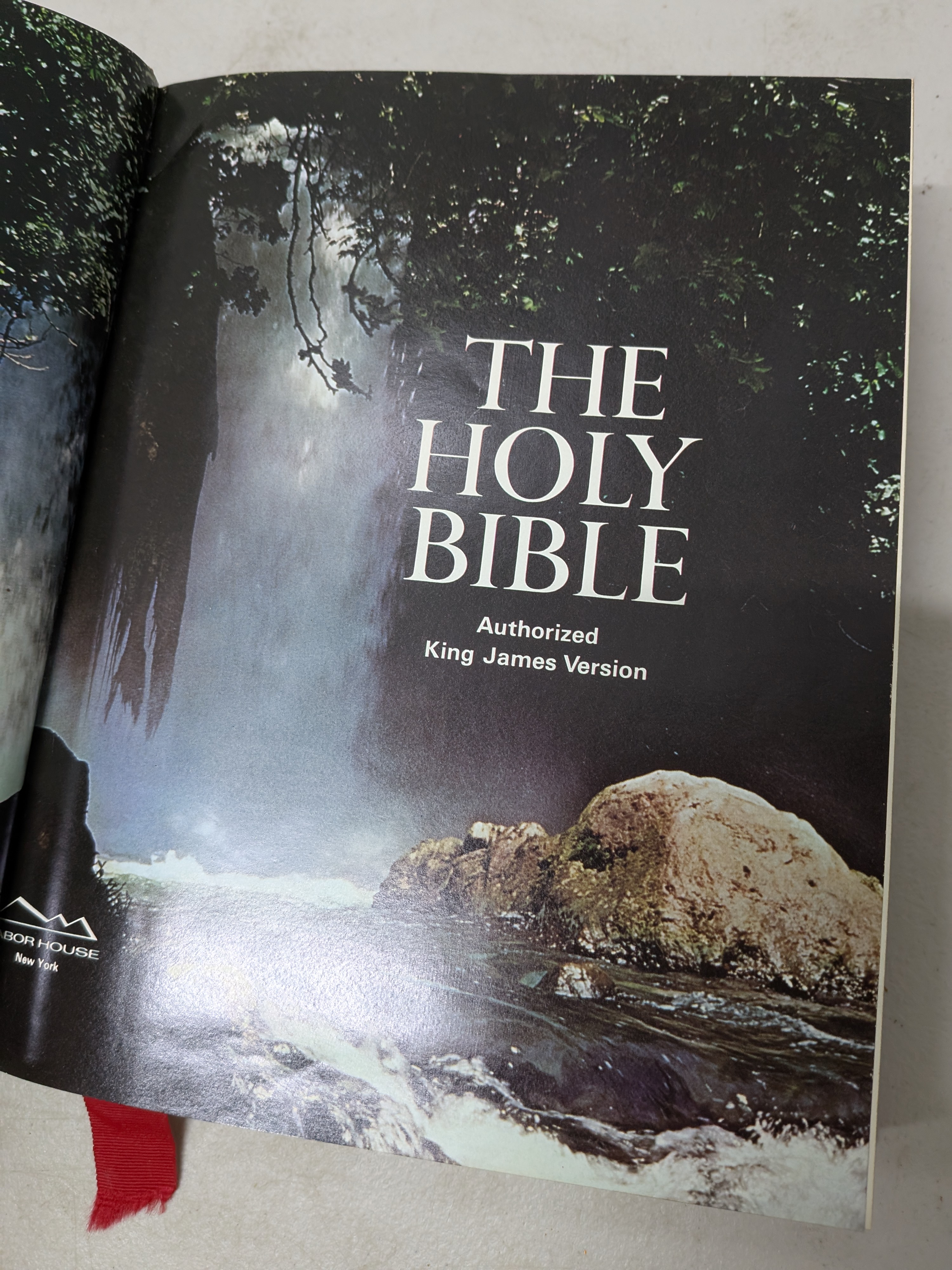 The Holy Bible, Authorized King James Version, Family Edition — Lot 050, photograph 6