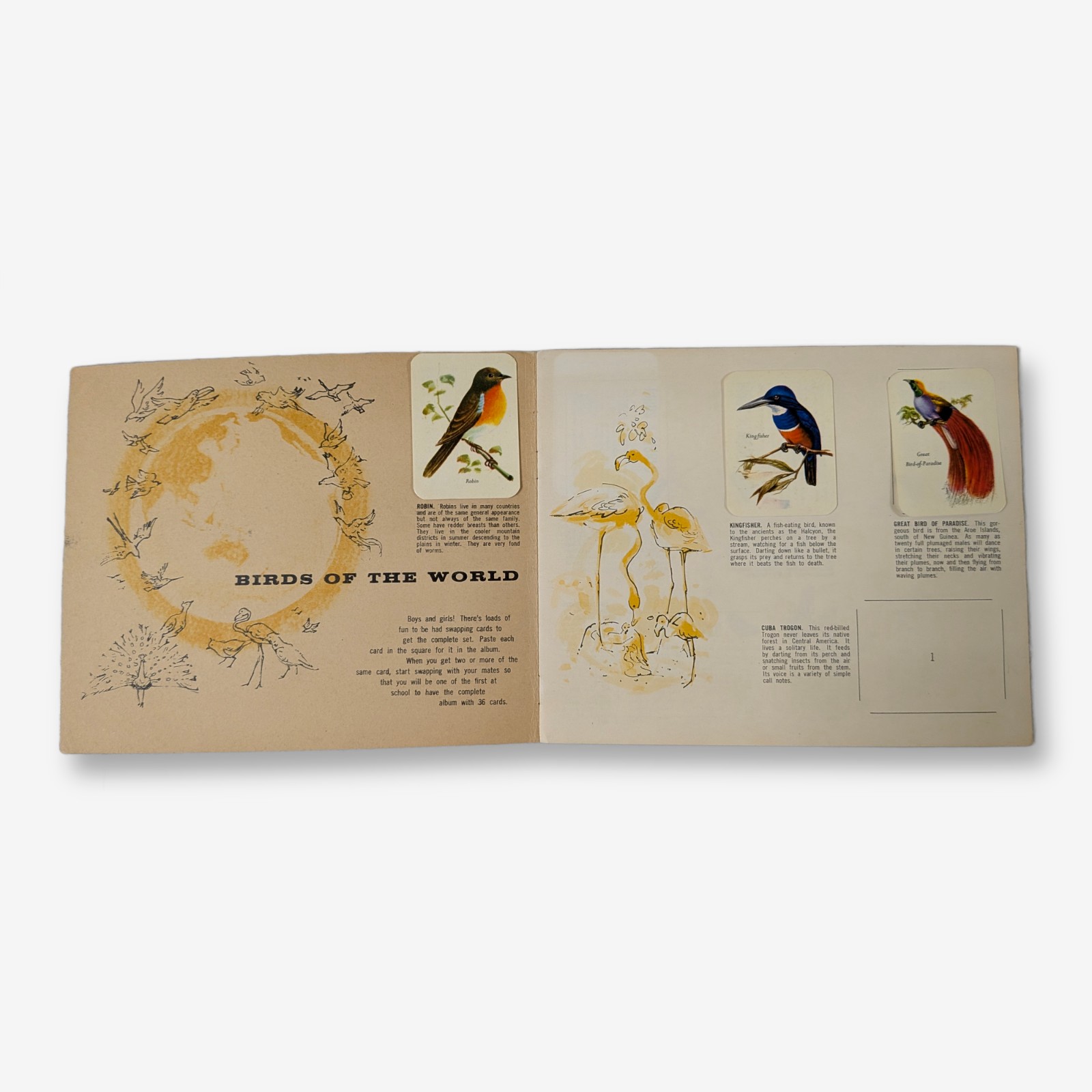 Vita-Brits Birds of the World Album — Lot 098, photograph 2