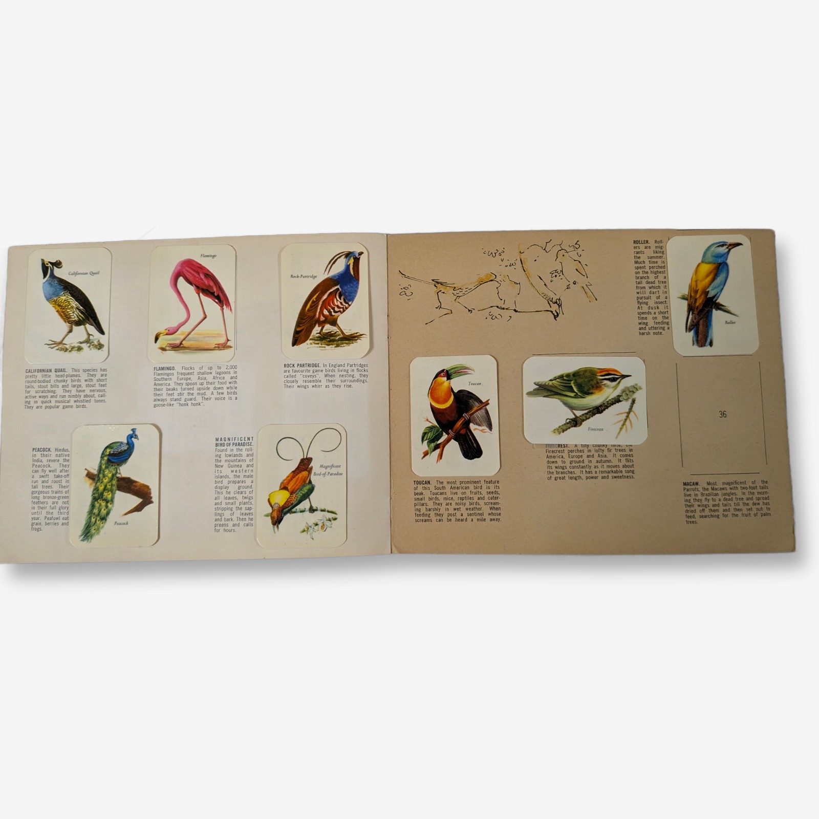 Vita-Brits Birds of the World Album — Lot 098, photograph 3