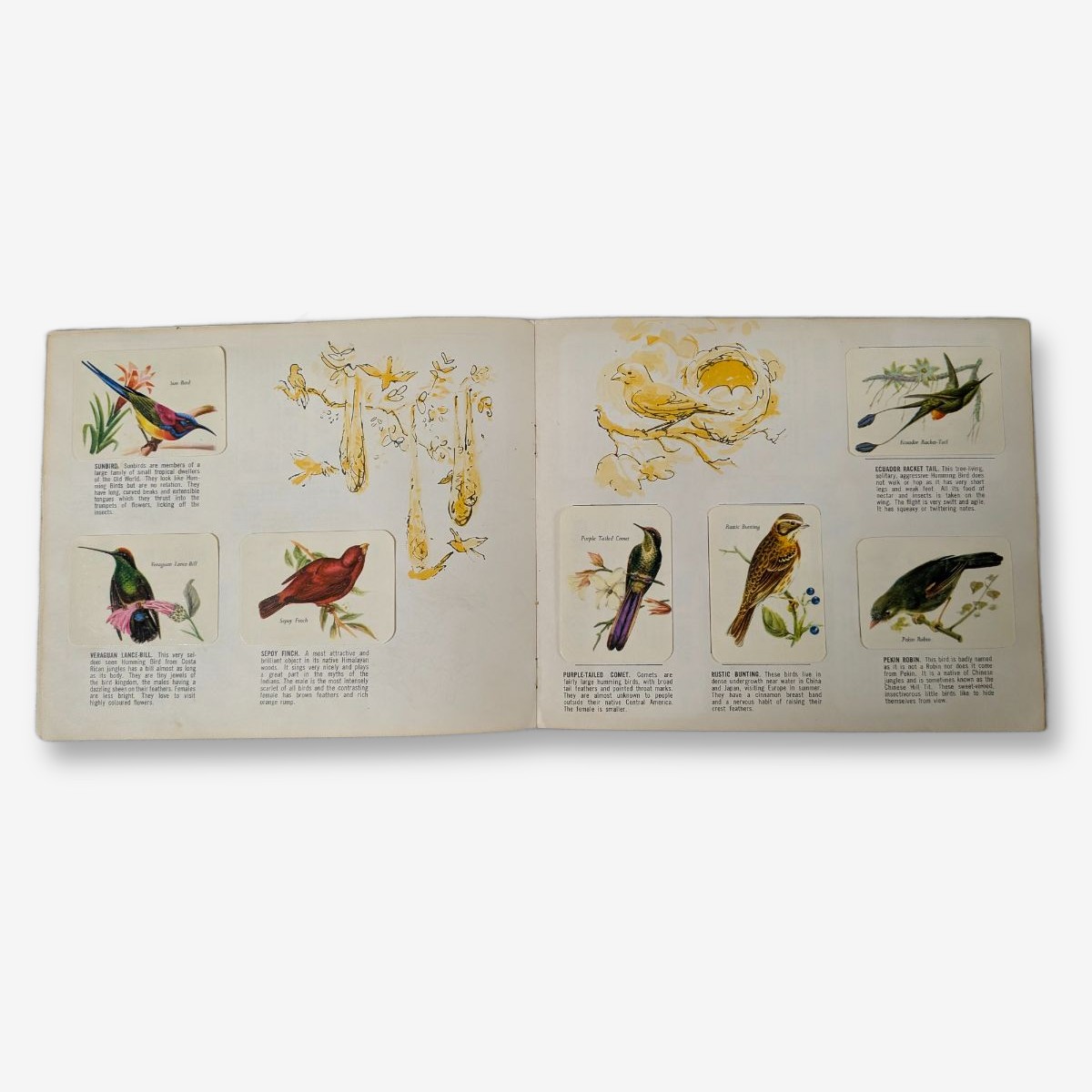 Vita-Brits Birds of the World Album — Lot 098, photograph 4