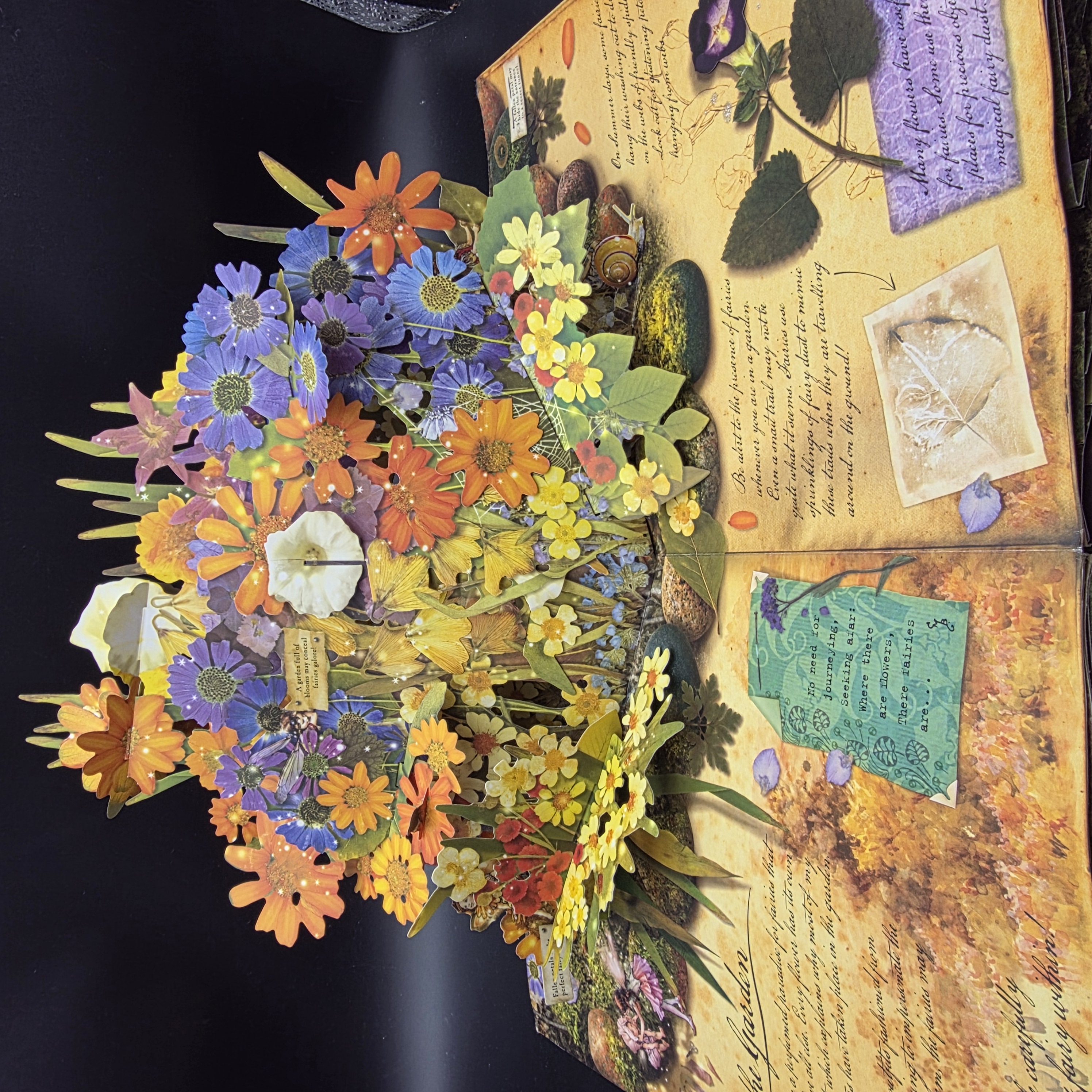How to Find Flower Fairies by Cicely Mary Barker (Hardcover, 2007) PopUp Novelty — Lot 103, photograph 1