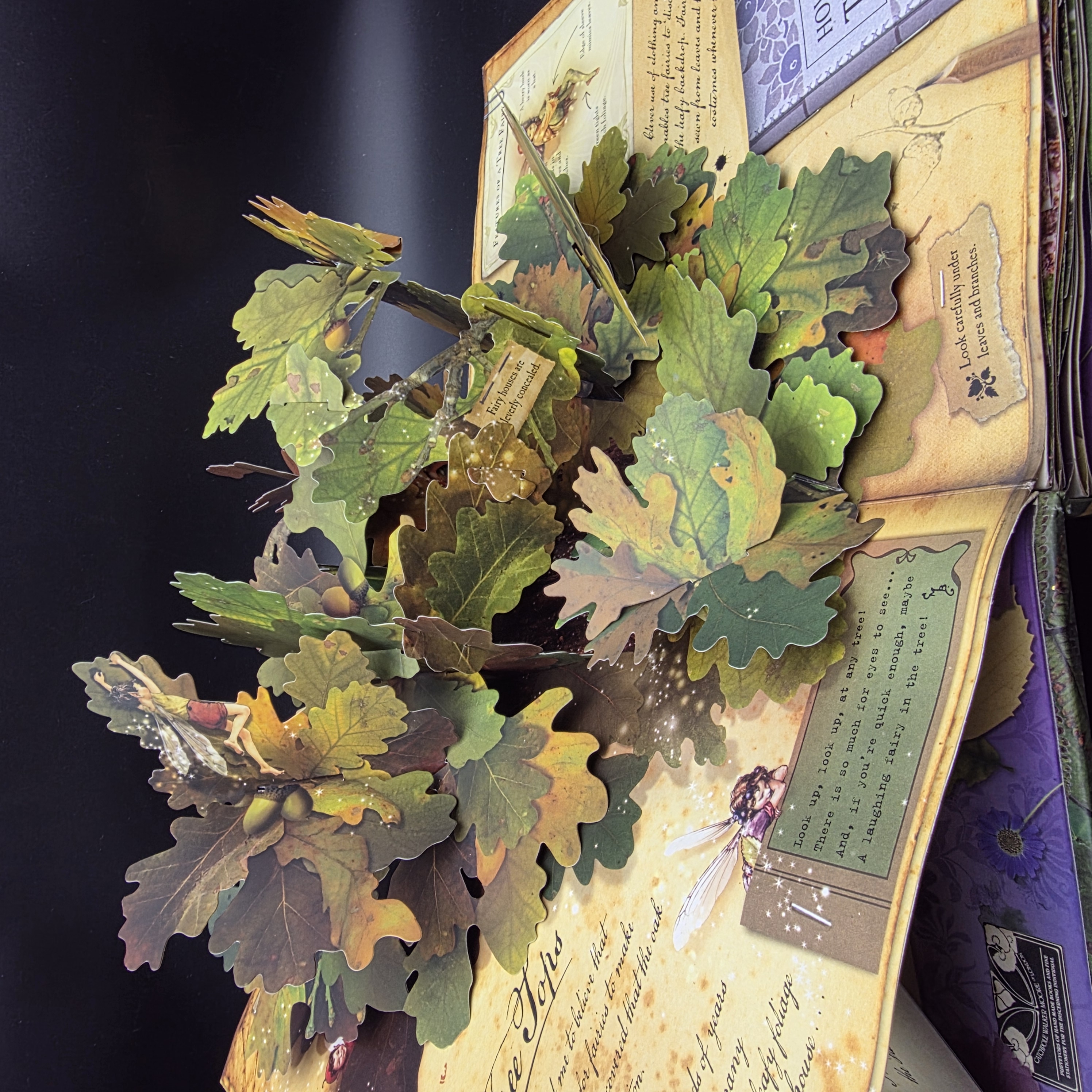 How to Find Flower Fairies by Cicely Mary Barker (Hardcover, 2007) PopUp Novelty — Lot 103, photograph 3