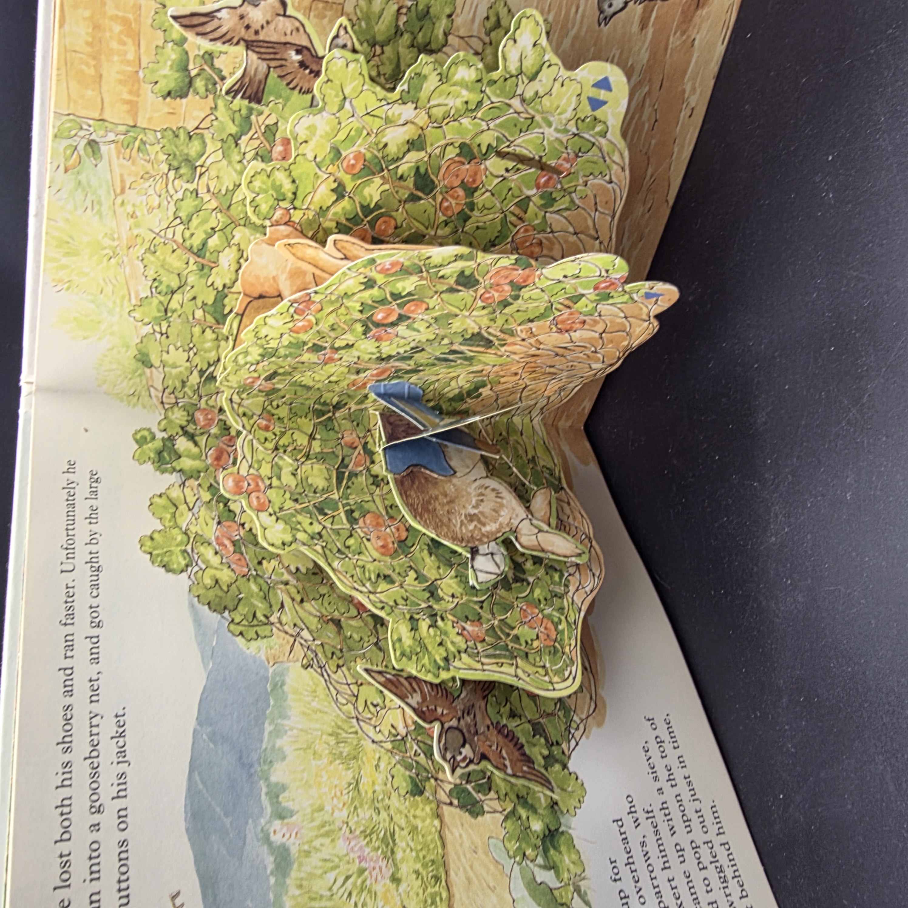 The Original Pop-up Tale of Peter Rabbit by Beatrix Potter (Hardcover, 1996) 1st — Lot 104, photograph 3