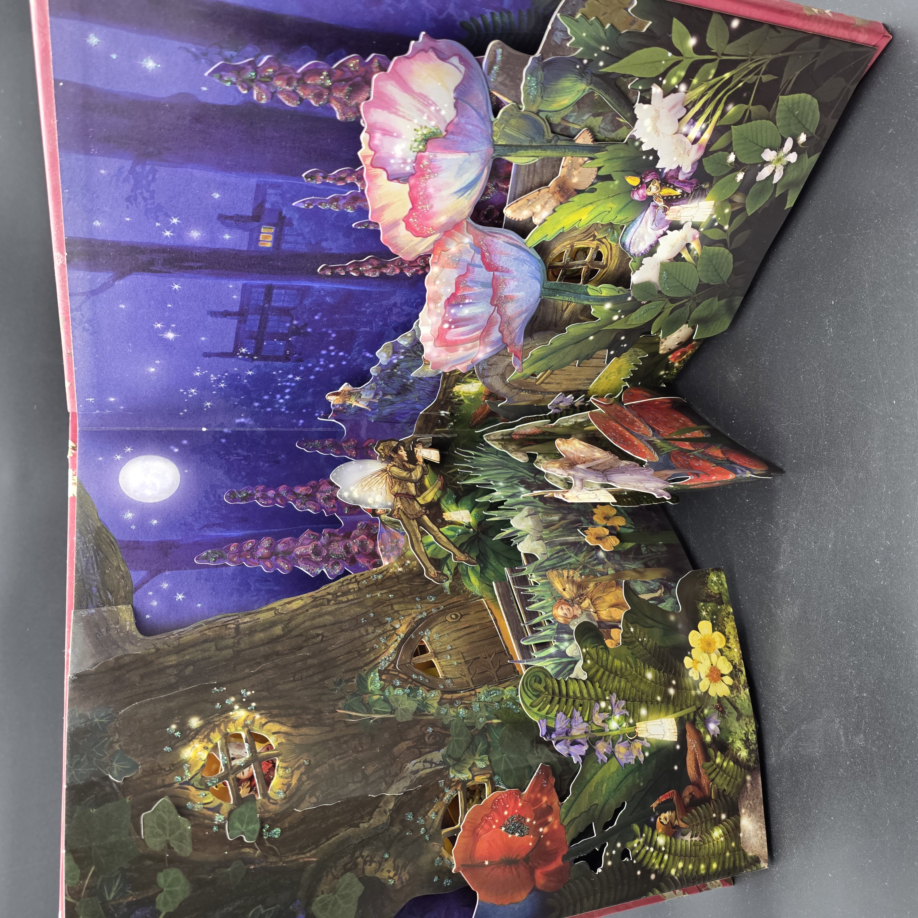 Return to Fairyopolis by Cicely Mary Barker (Hardcover, 2008) 1st Ed Illus — Lot 106, photograph 1