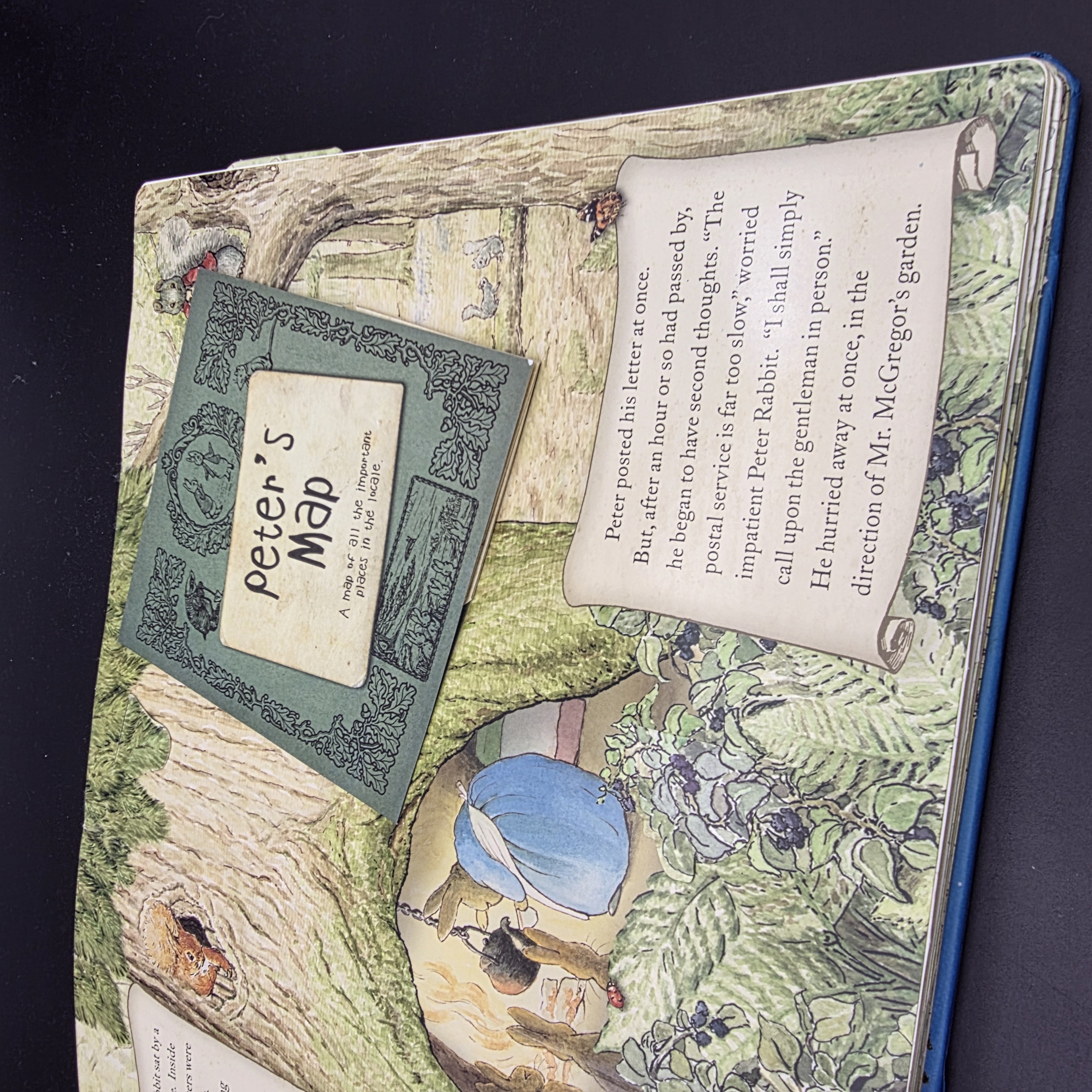 Peter Rabbit A Lucky Escape by Beatrix Potter (Hardcover, 2008) Children's — Lot 107, photograph 3