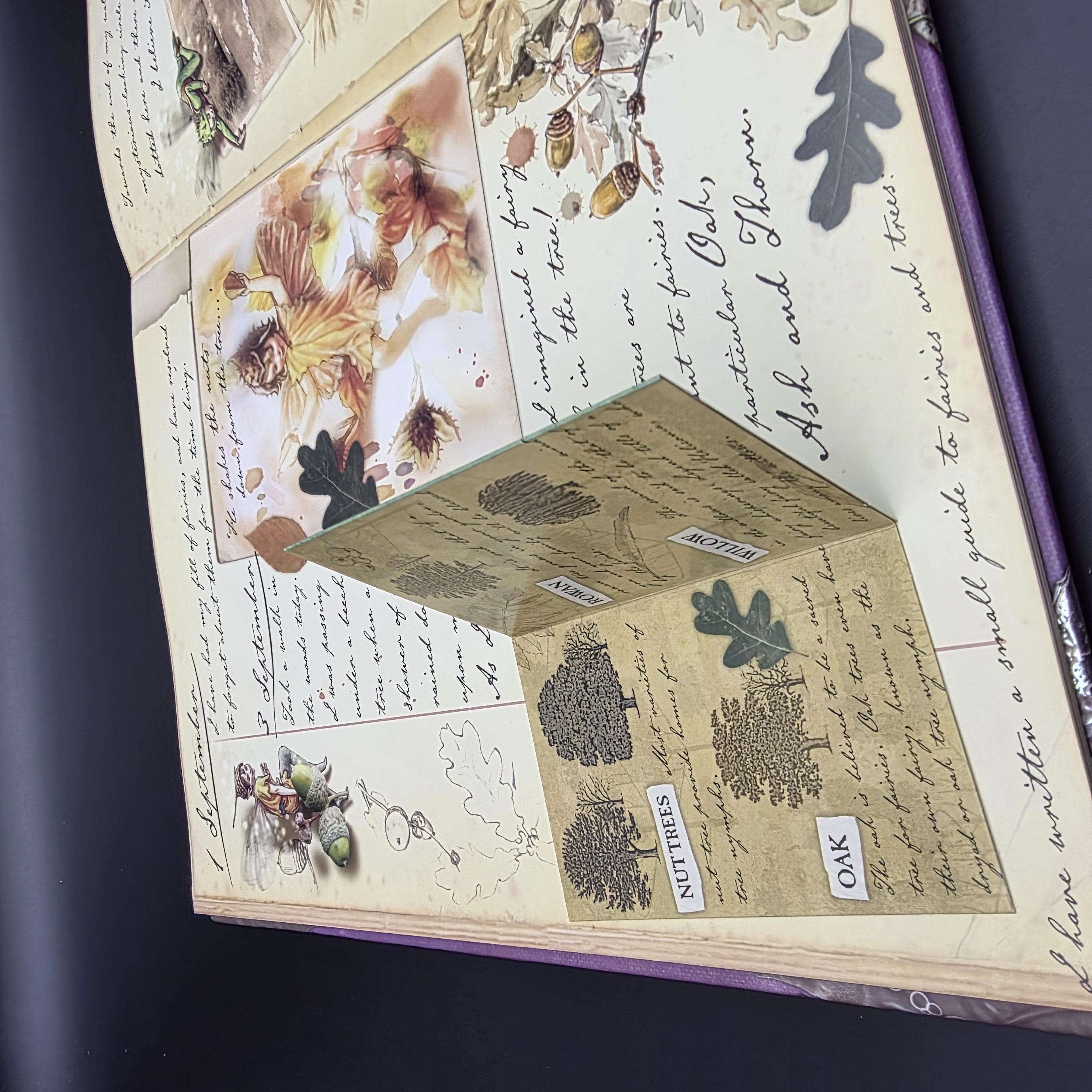 Fairyopolis A Flower Fairies Journal by Cicely Mary Barker (Hardcover, 2005) — Lot 112, photograph 2