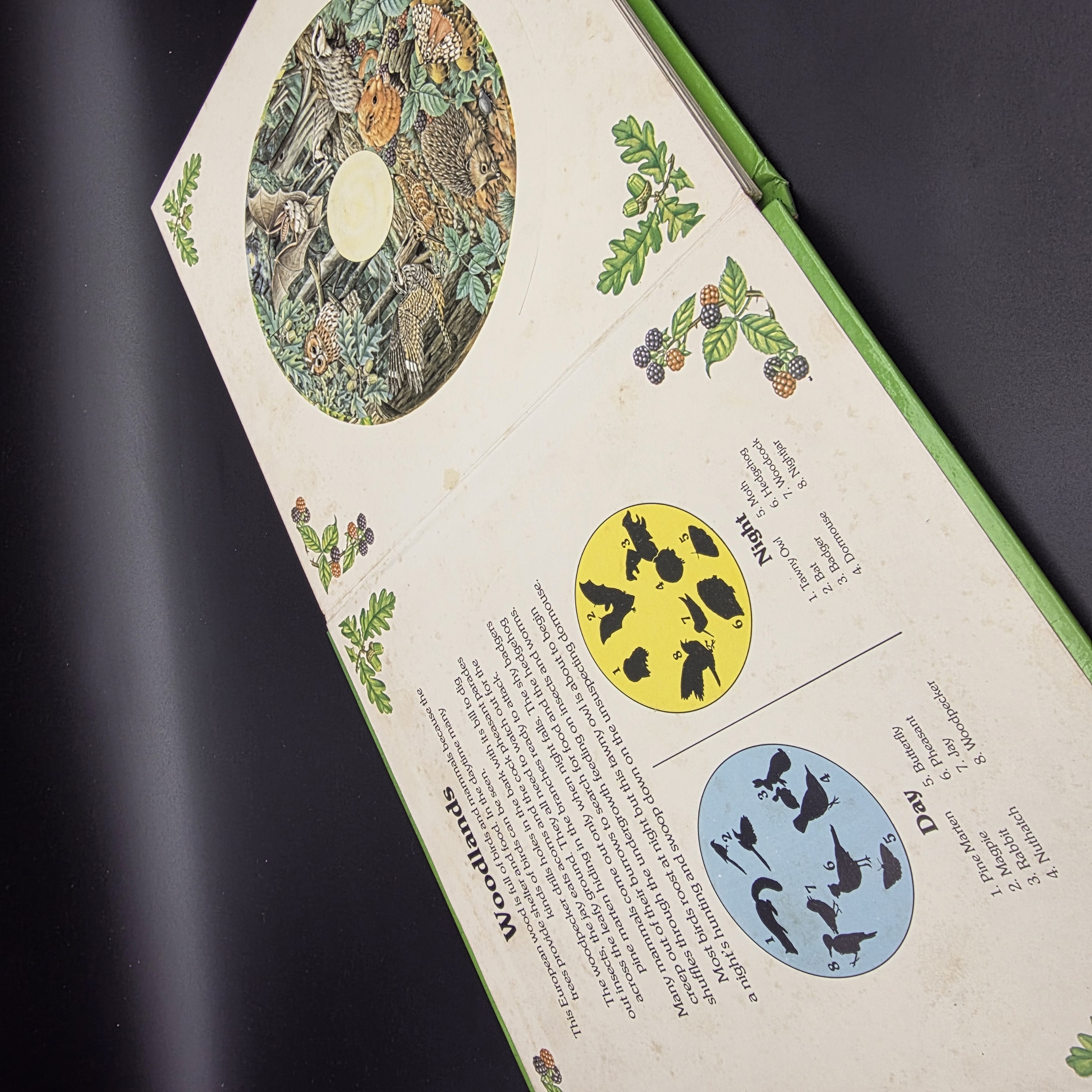 Our Changing World (Revolving Picture Book) by Selberg, Ingrid (Hardcover, 1982) — Lot 023, photograph 2