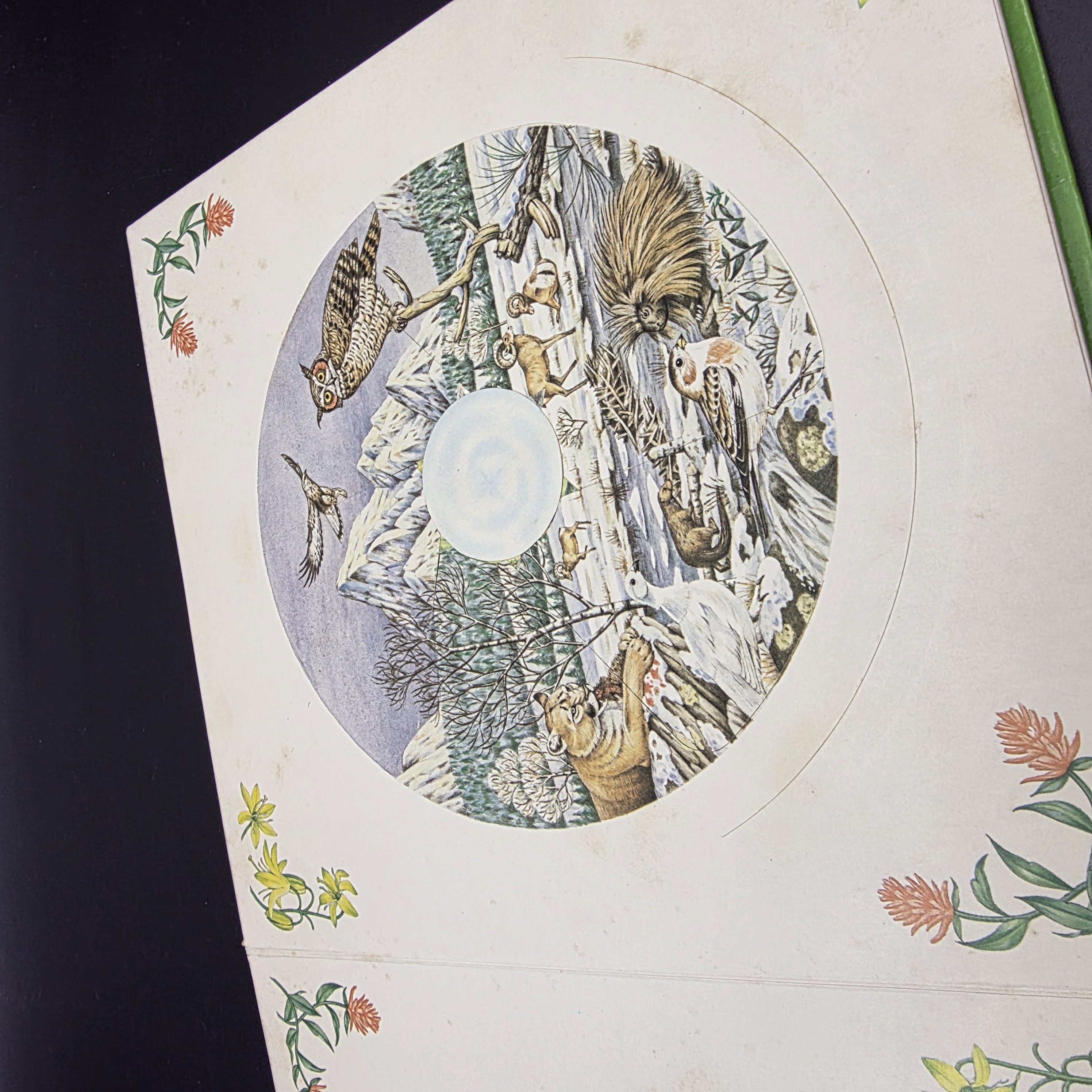 Our Changing World (Revolving Picture Book) by Selberg, Ingrid (Hardcover, 1982) — Lot 023, photograph 3