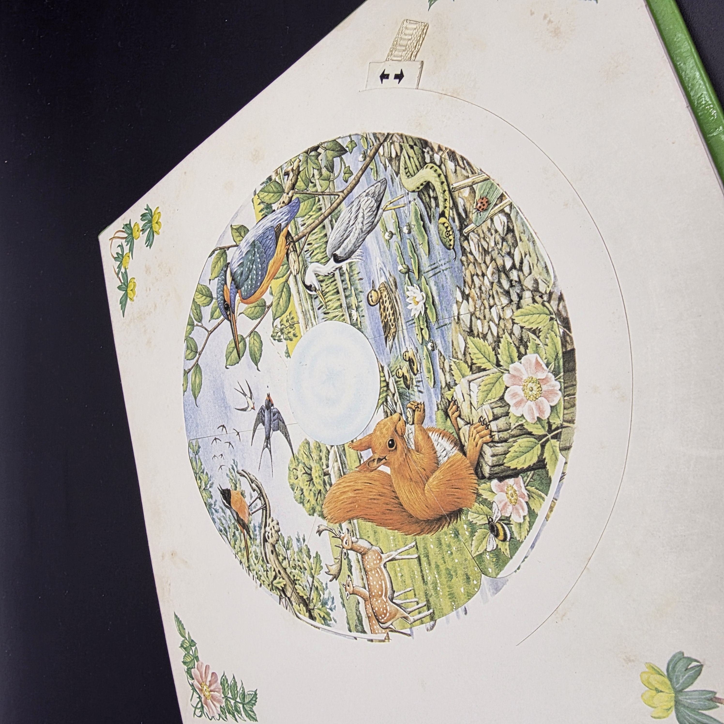 Our Changing World (Revolving Picture Book) by Selberg, Ingrid (Hardcover, 1982) — Lot 023, photograph 5