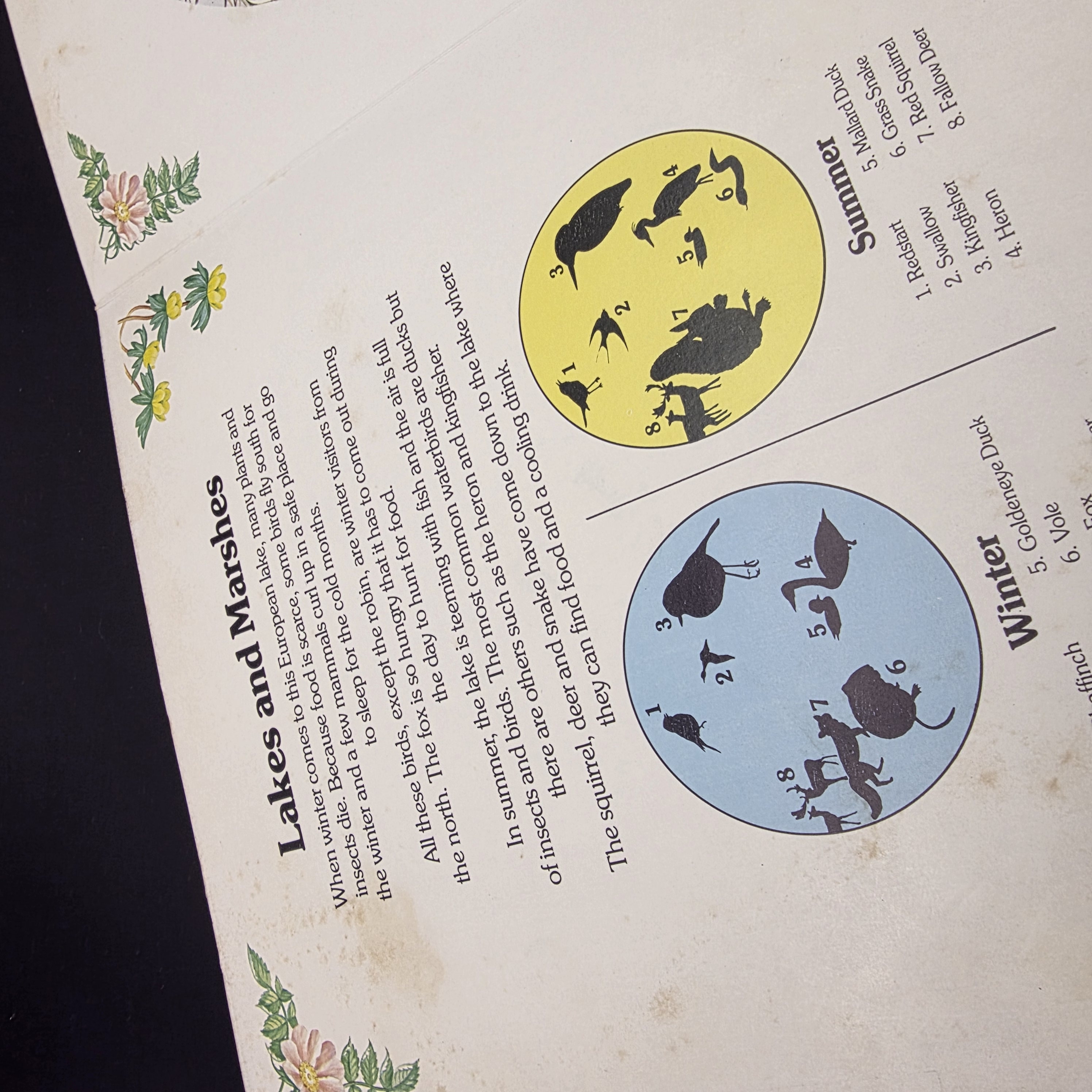 Our Changing World (Revolving Picture Book) by Selberg, Ingrid (Hardcover, 1982) — Lot 023, photograph 6