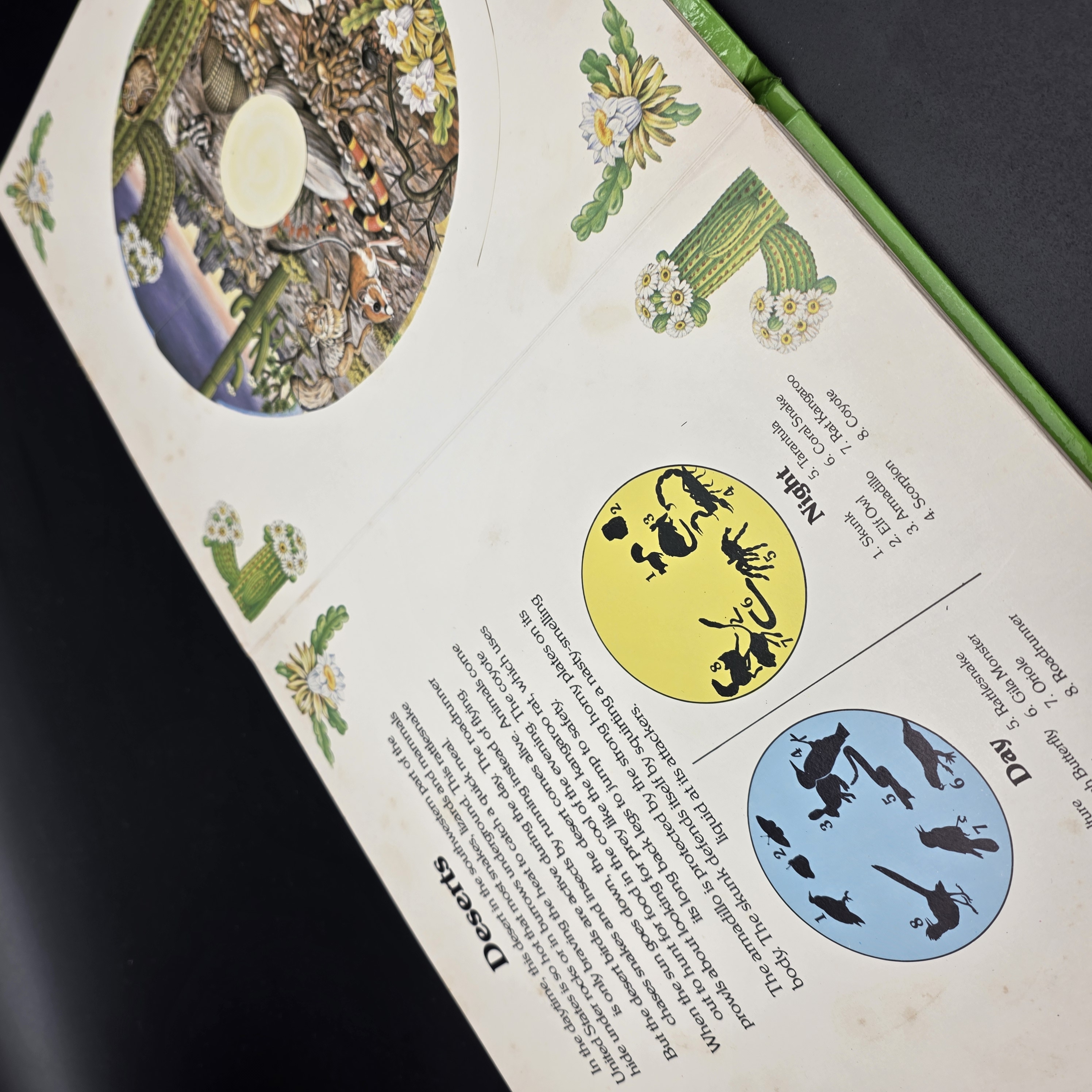 Our Changing World (Revolving Picture Book) by Selberg, Ingrid (Hardcover, 1982) — Lot 023, photograph 7