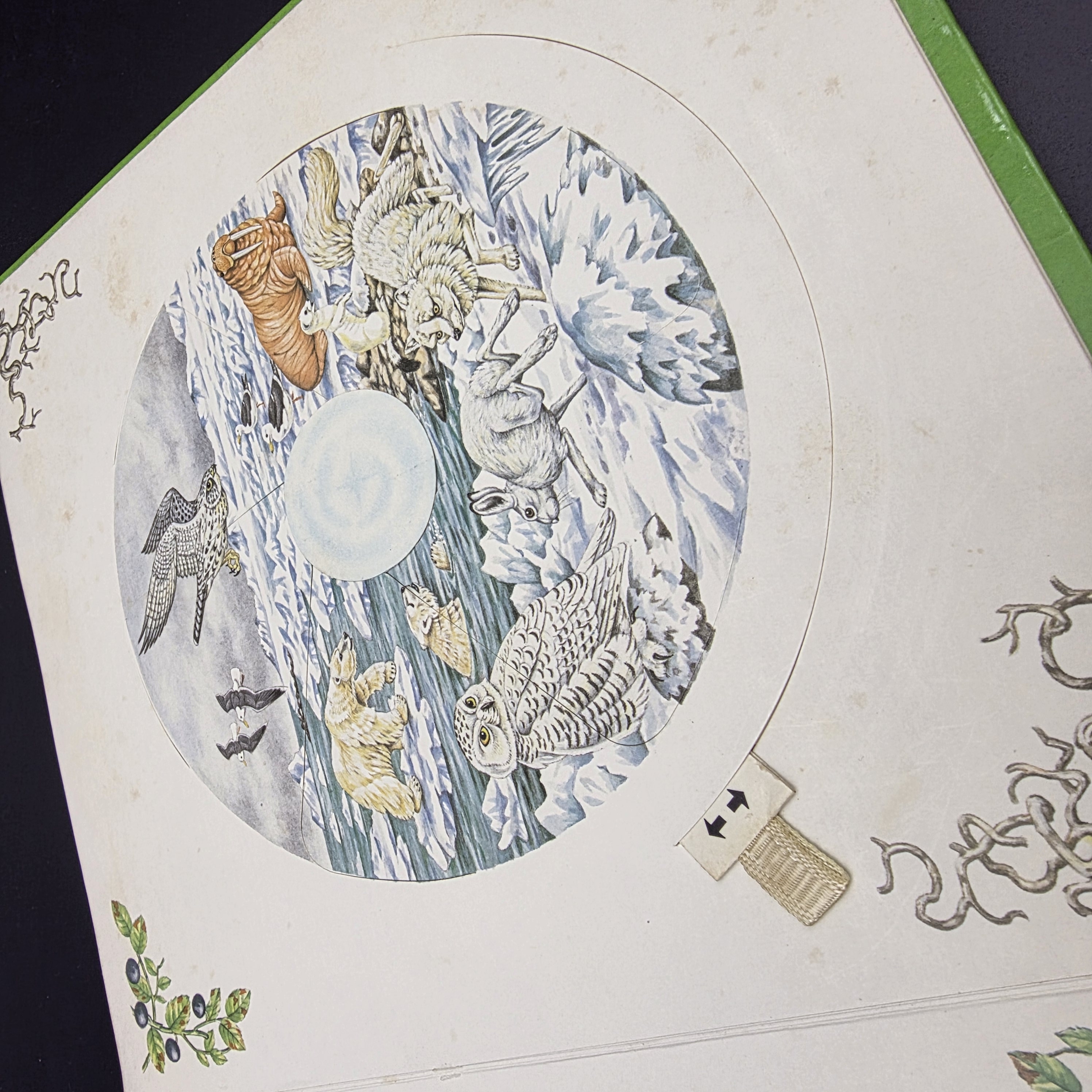 Our Changing World (Revolving Picture Book) by Selberg, Ingrid (Hardcover, 1982) — Lot 023, photograph 8