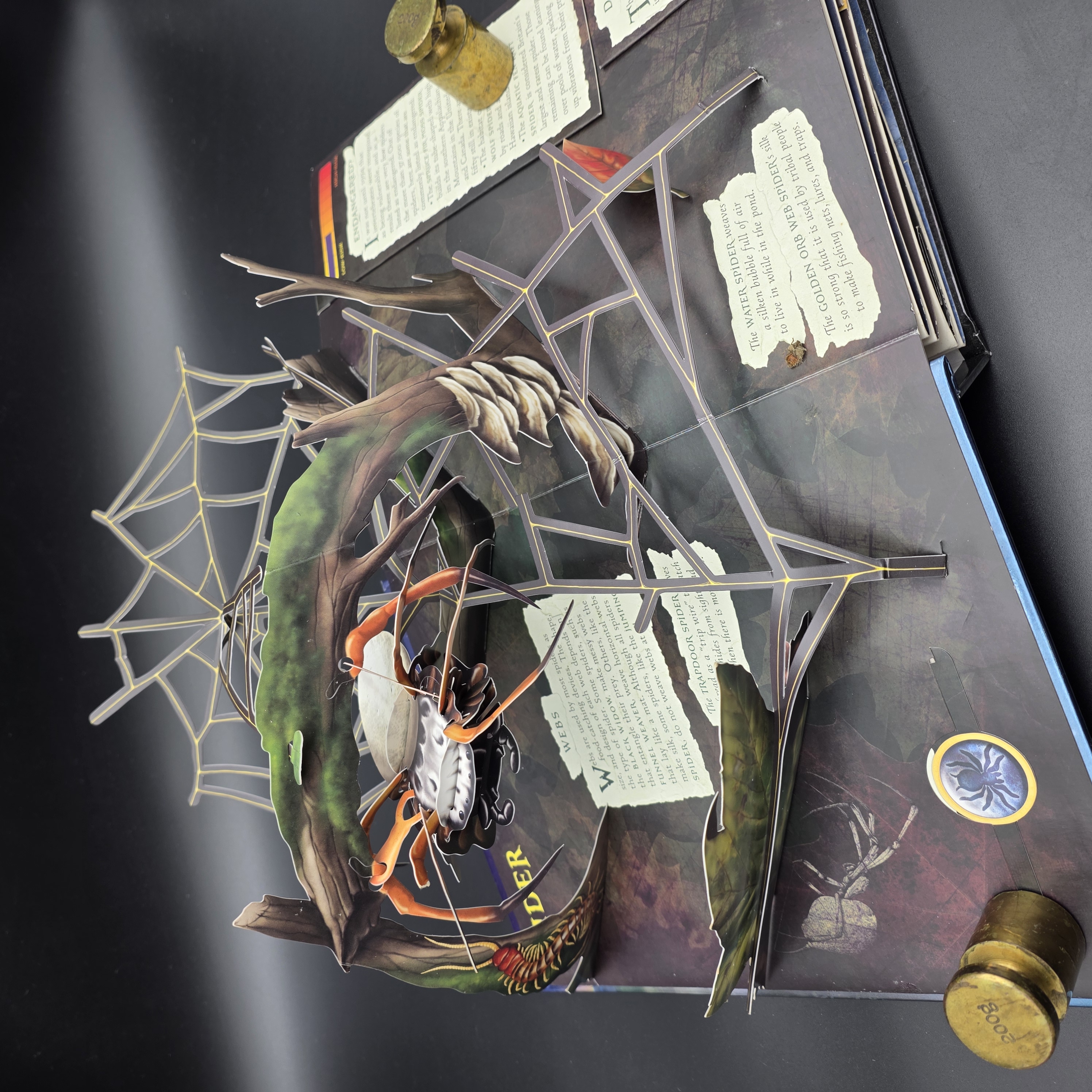 Predators by Lucio Santoro, Meera Santoro (Hardcover, 2008) 3D Pop-Up Juvenile — Lot 030, photograph 1