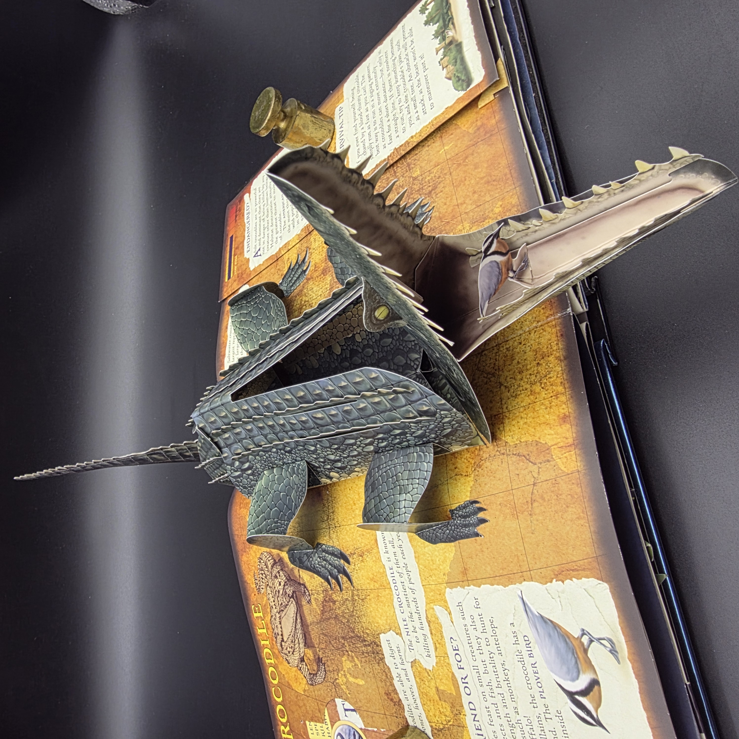 Predators by Lucio Santoro, Meera Santoro (Hardcover, 2008) 3D Pop-Up Juvenile — Lot 030, photograph 6