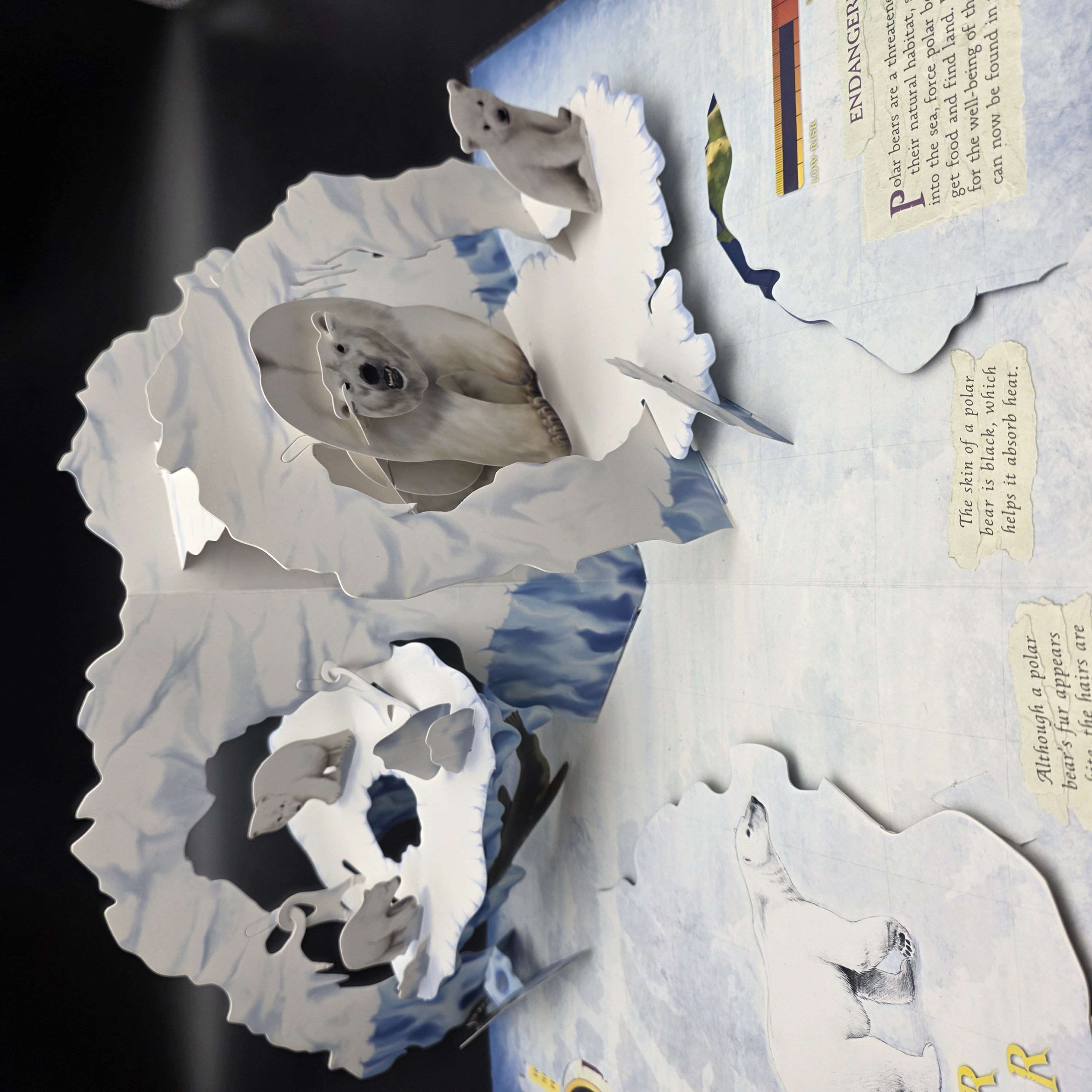 Predators by Lucio Santoro, Meera Santoro (Hardcover, 2008) 3D Pop-Up Juvenile — Lot 030, photograph 7
