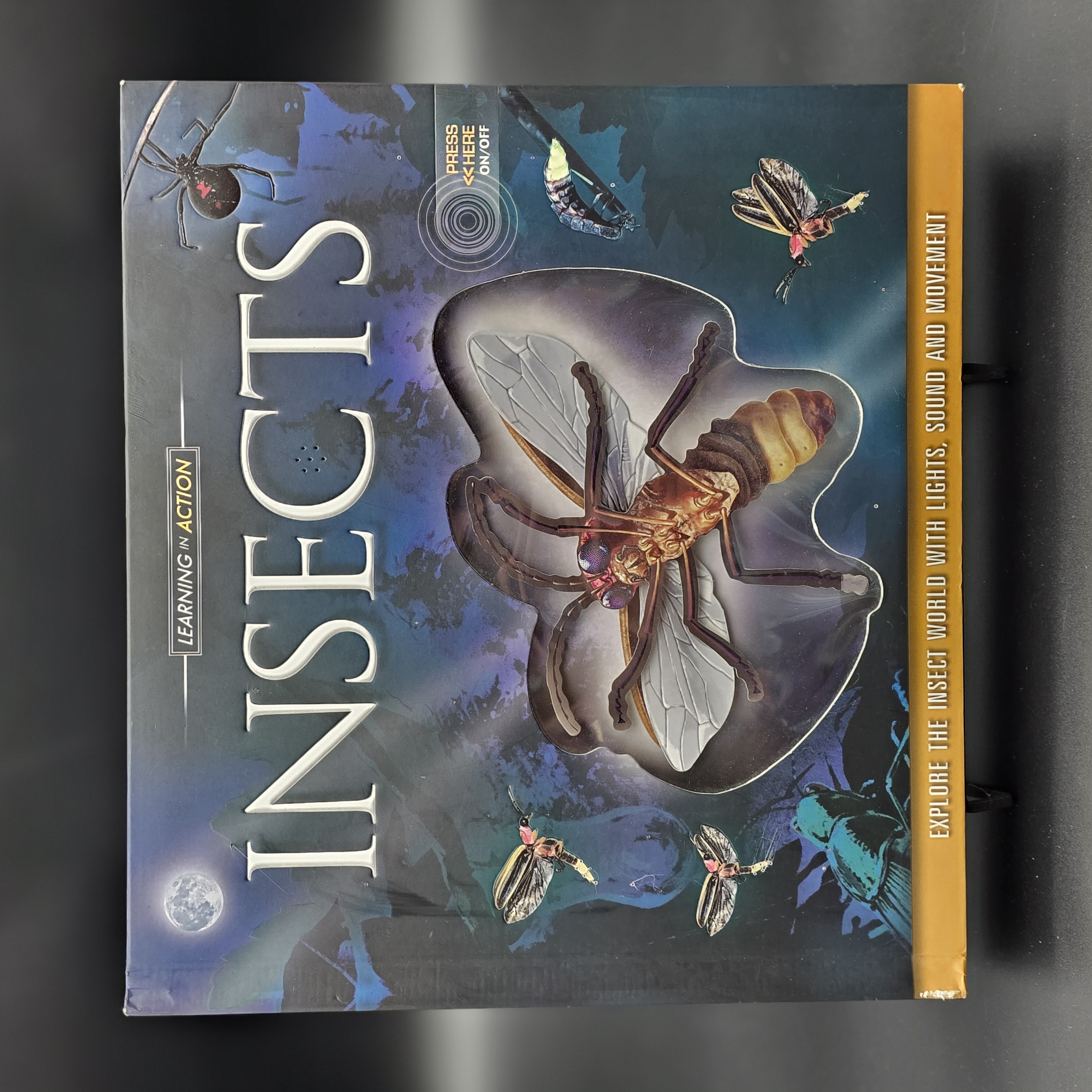 INSECTS by Philip Steele (Hardcover, 2009) Kids Bugs Preschool Photos Activities — Lot 047, photograph 2