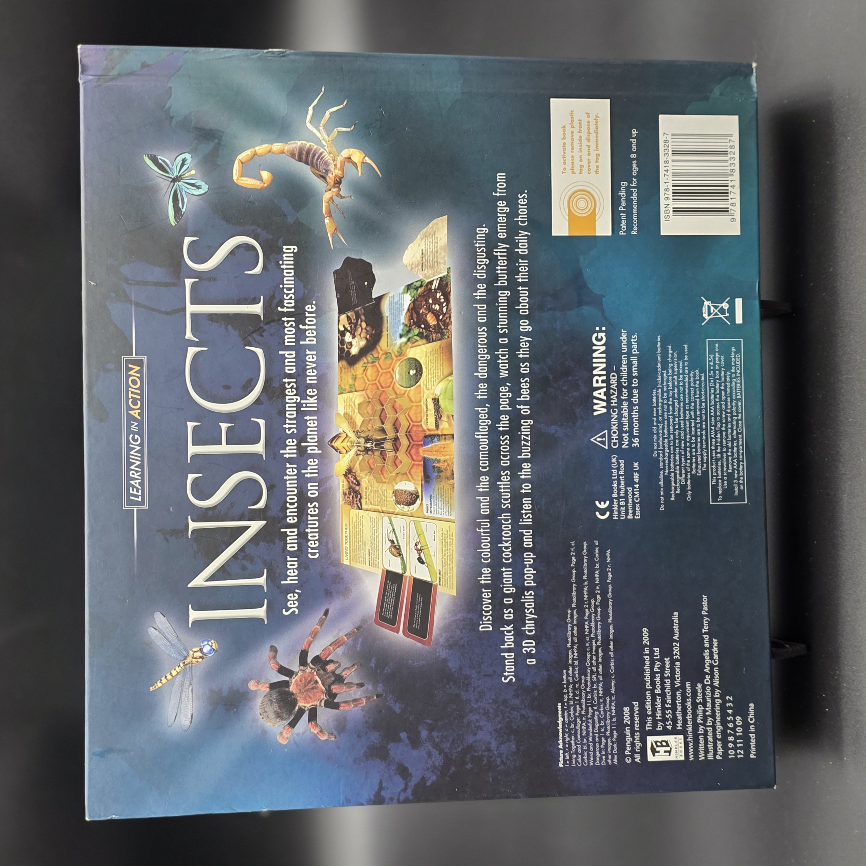 INSECTS by Philip Steele (Hardcover, 2009) Kids Bugs Preschool Photos Activities — Lot 047, photograph 6