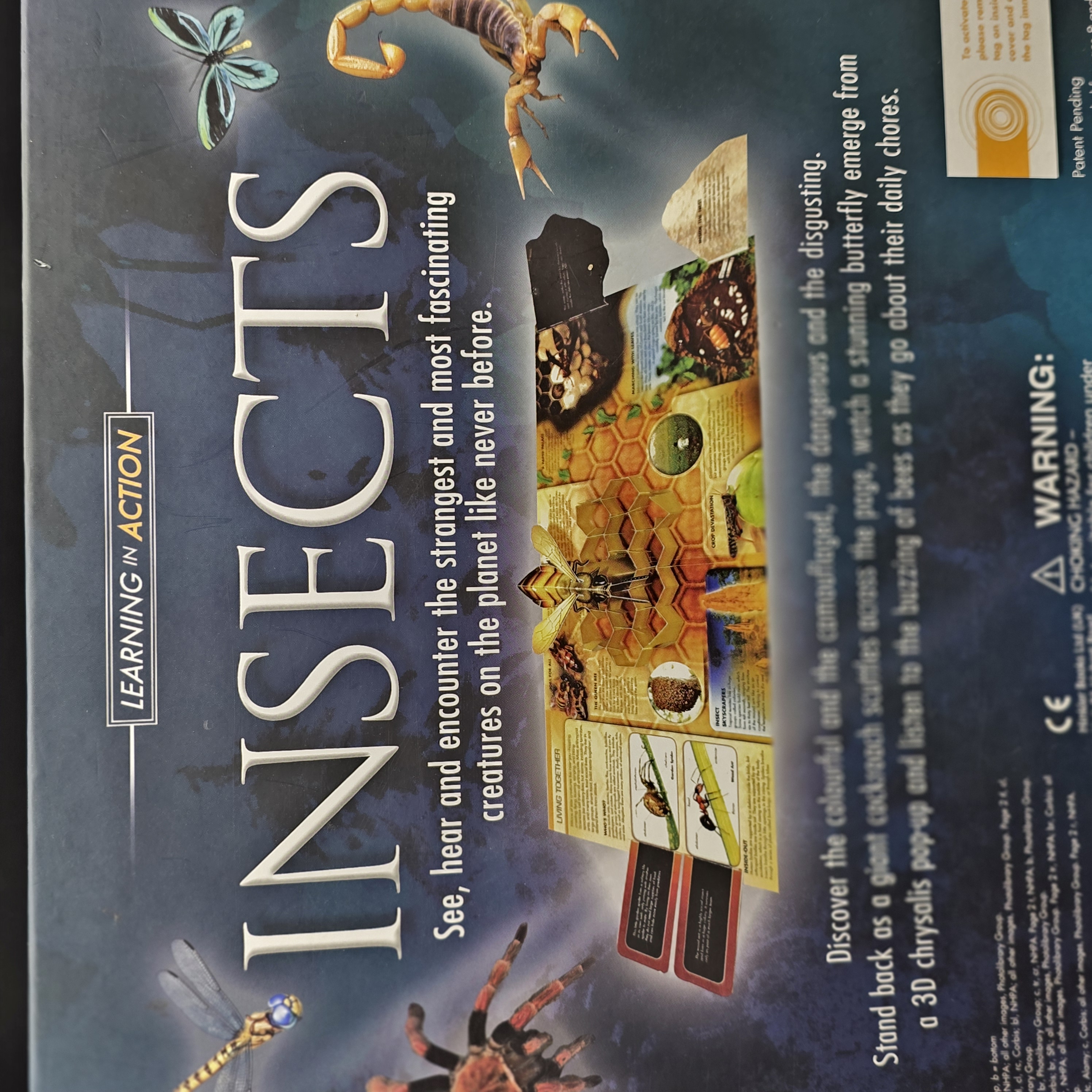 INSECTS by Philip Steele (Hardcover, 2009) Kids Bugs Preschool Photos Activities — Lot 047, photograph 7