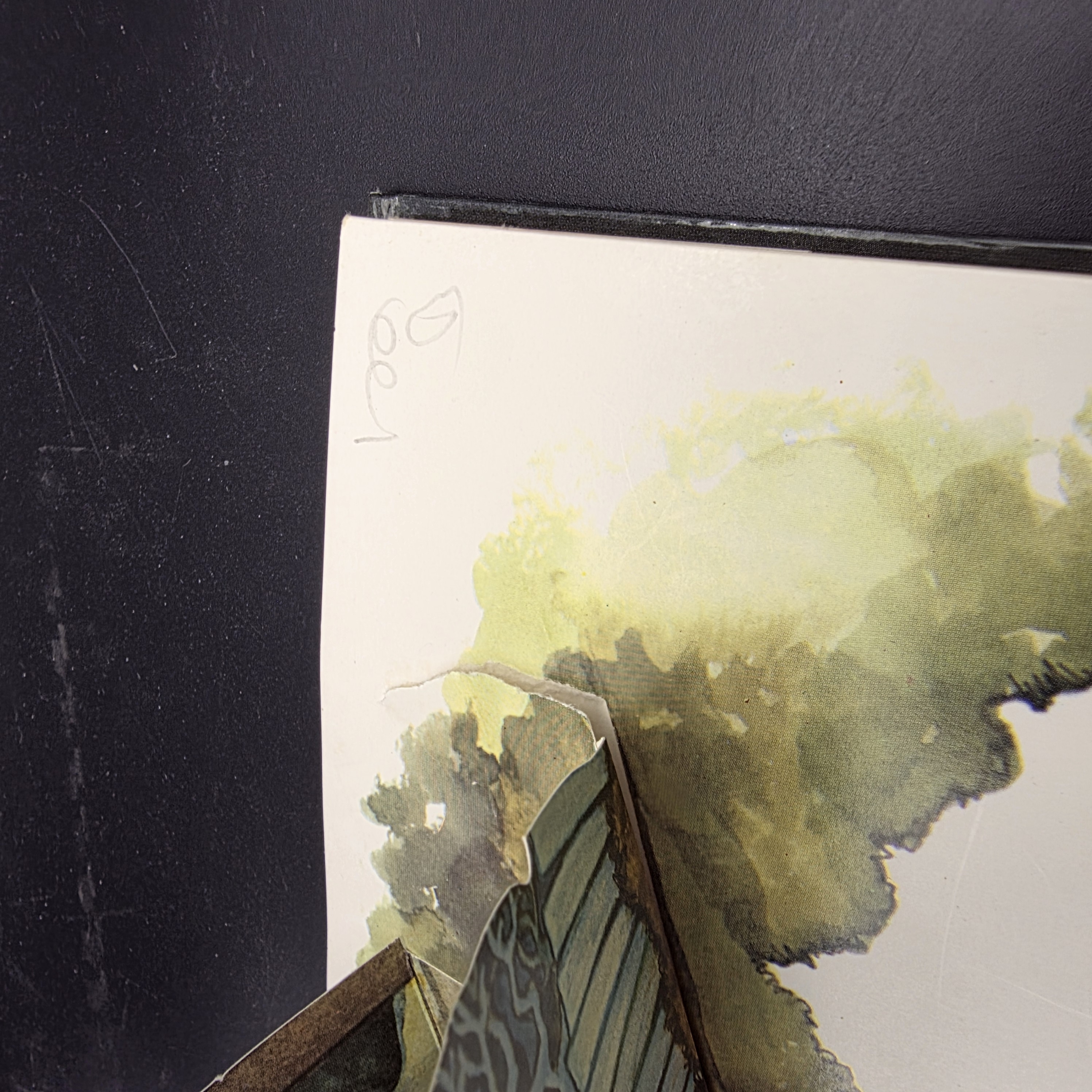 Collection of Three Vintage Pop-Up Books: Dragons, Haunted House, and Pirate Ship — Lot 043, photograph 8