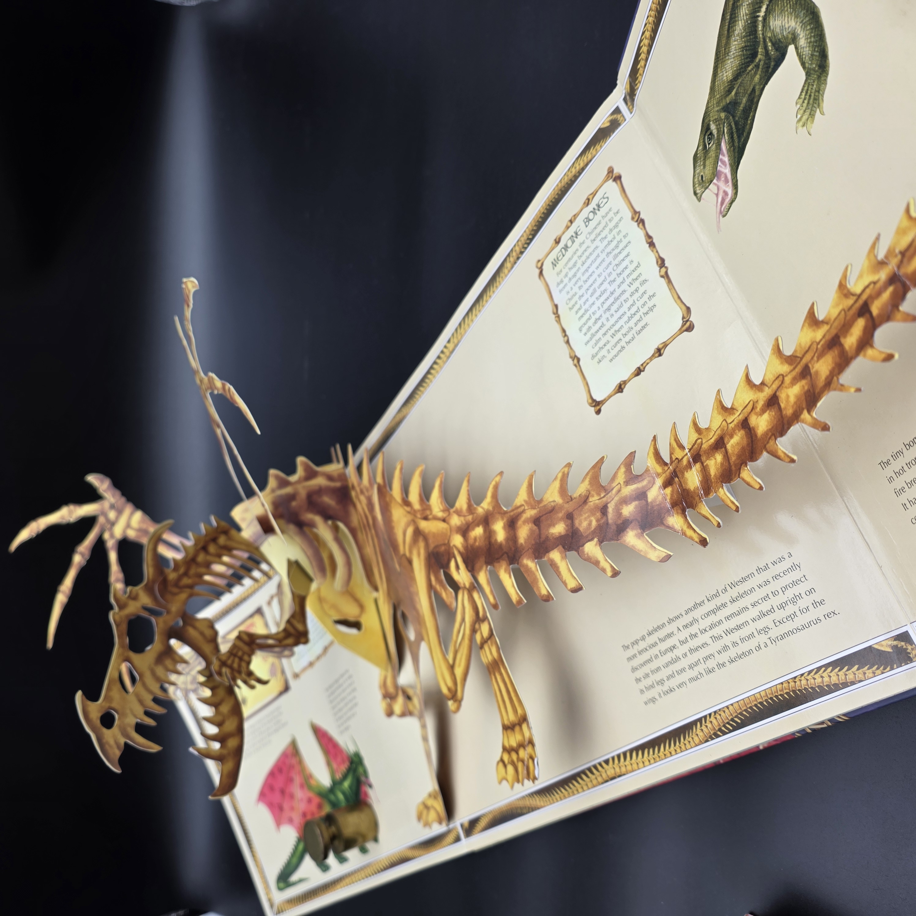 Dragon World - A Pop-up Guide to These Scaled Beasts by Five Mile Press Staff, M — Lot 042, photograph 1