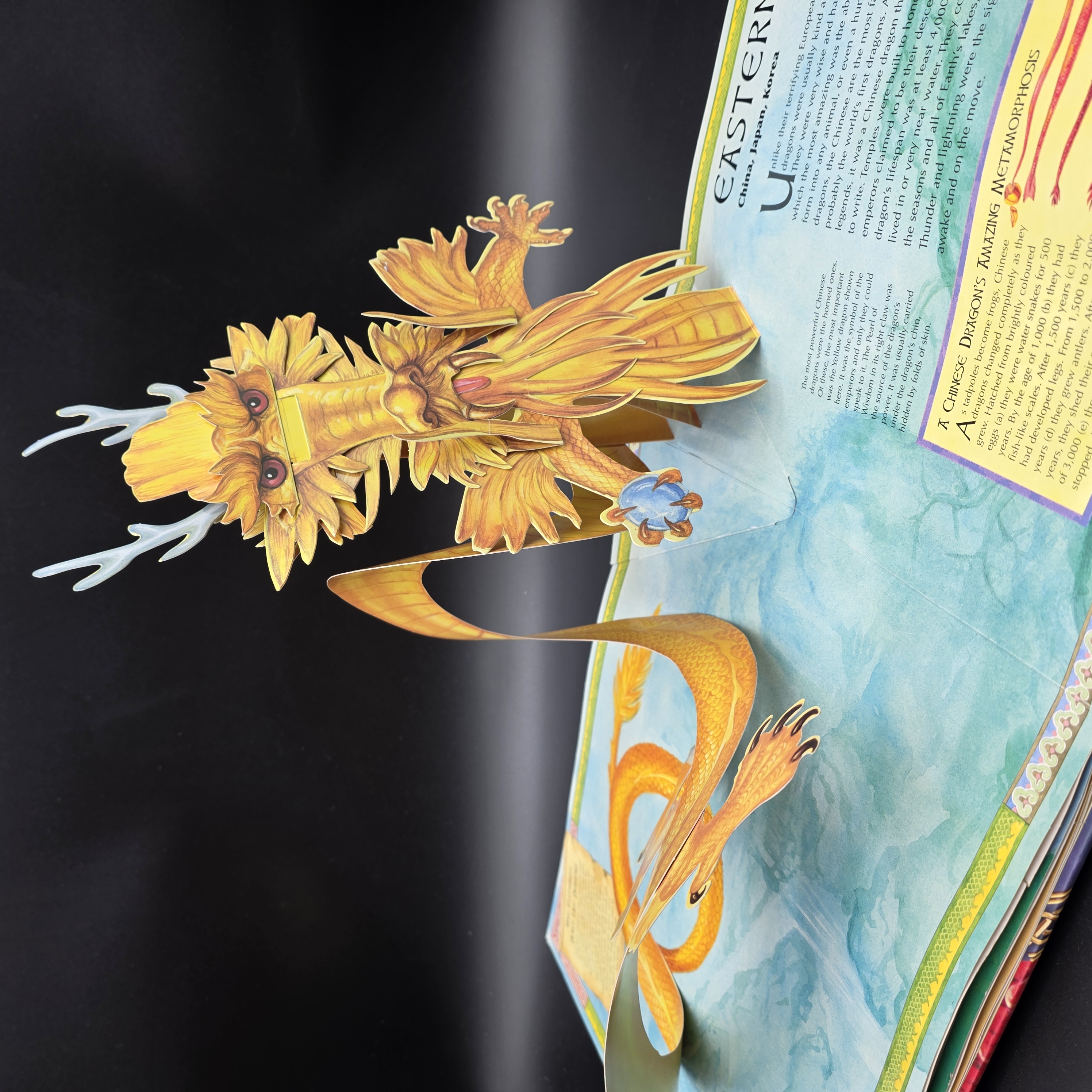 Dragon World - A Pop-up Guide to These Scaled Beasts by Five Mile Press Staff, M — Lot 042, photograph 4