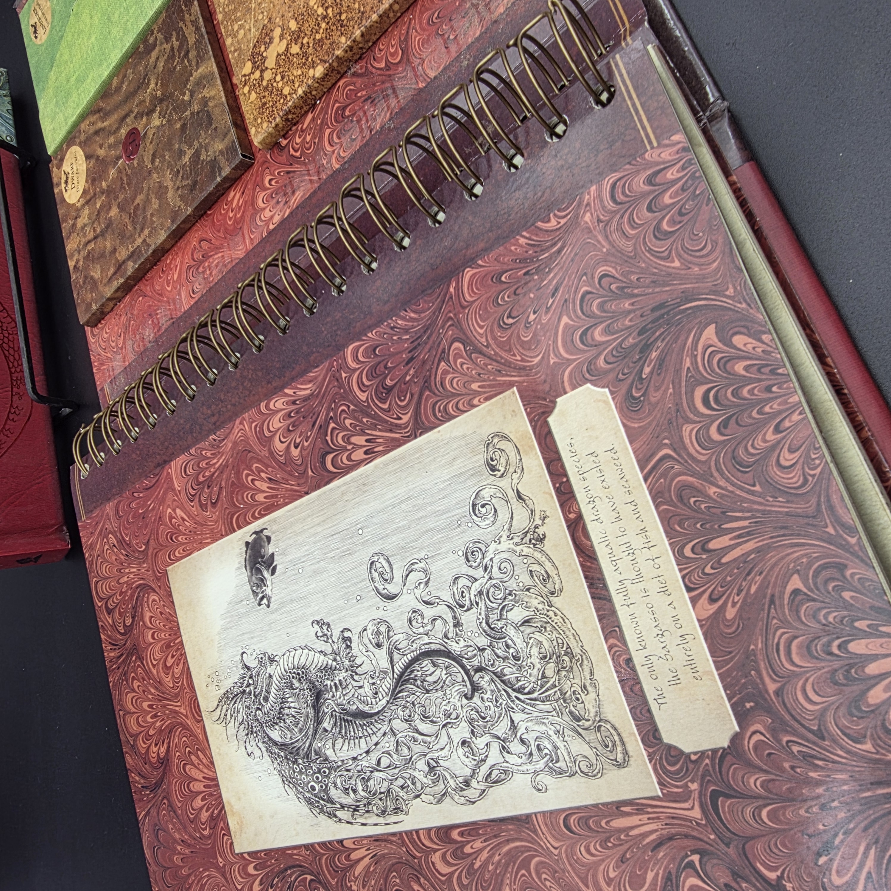 Dragonology Field Guide to Dragons — Lot 041, photograph 4
