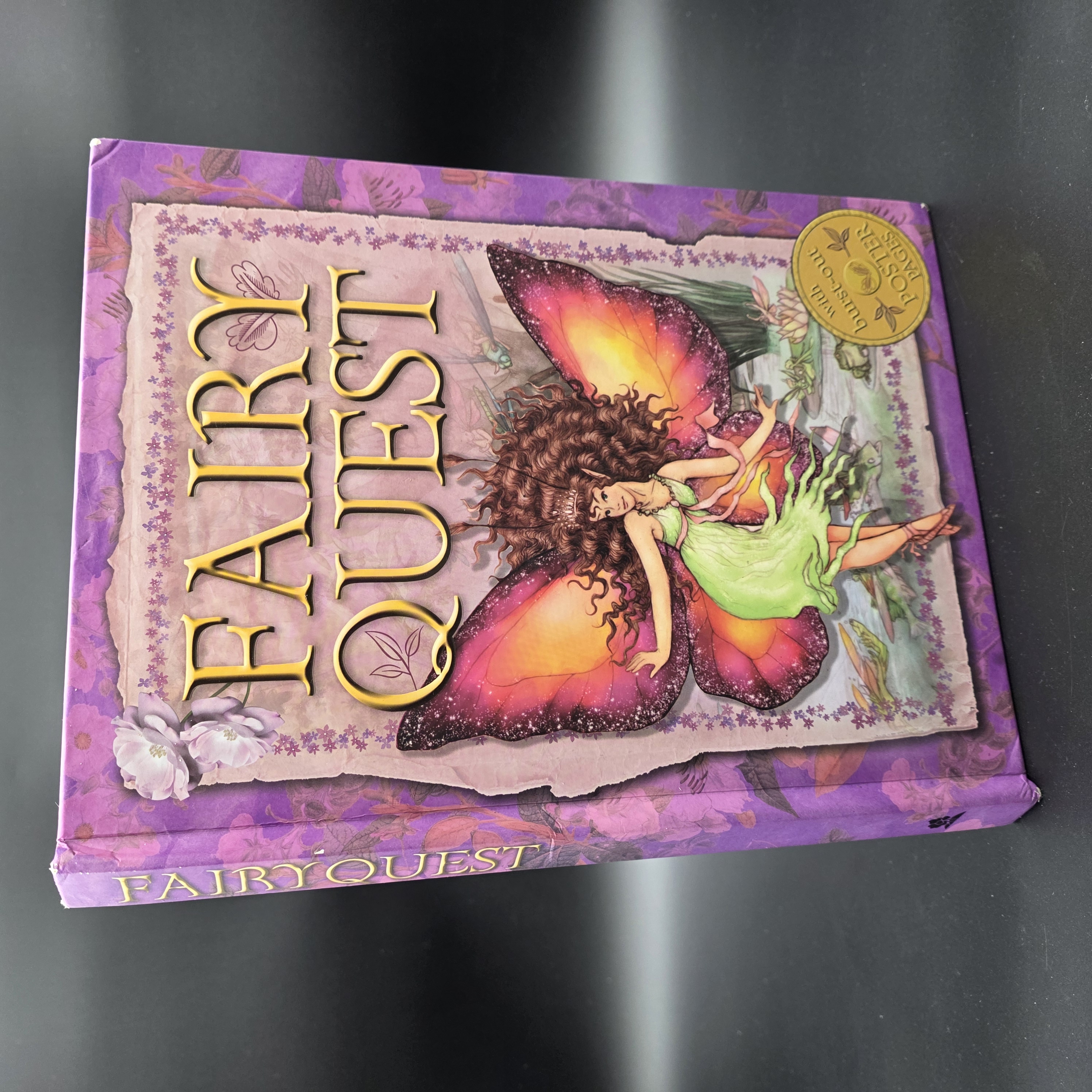 FAIRY QUEST by Paul Jenkins (Hardcover, 2009) Graphic Novel Fablewood Ramos — Lot 007, photograph 1