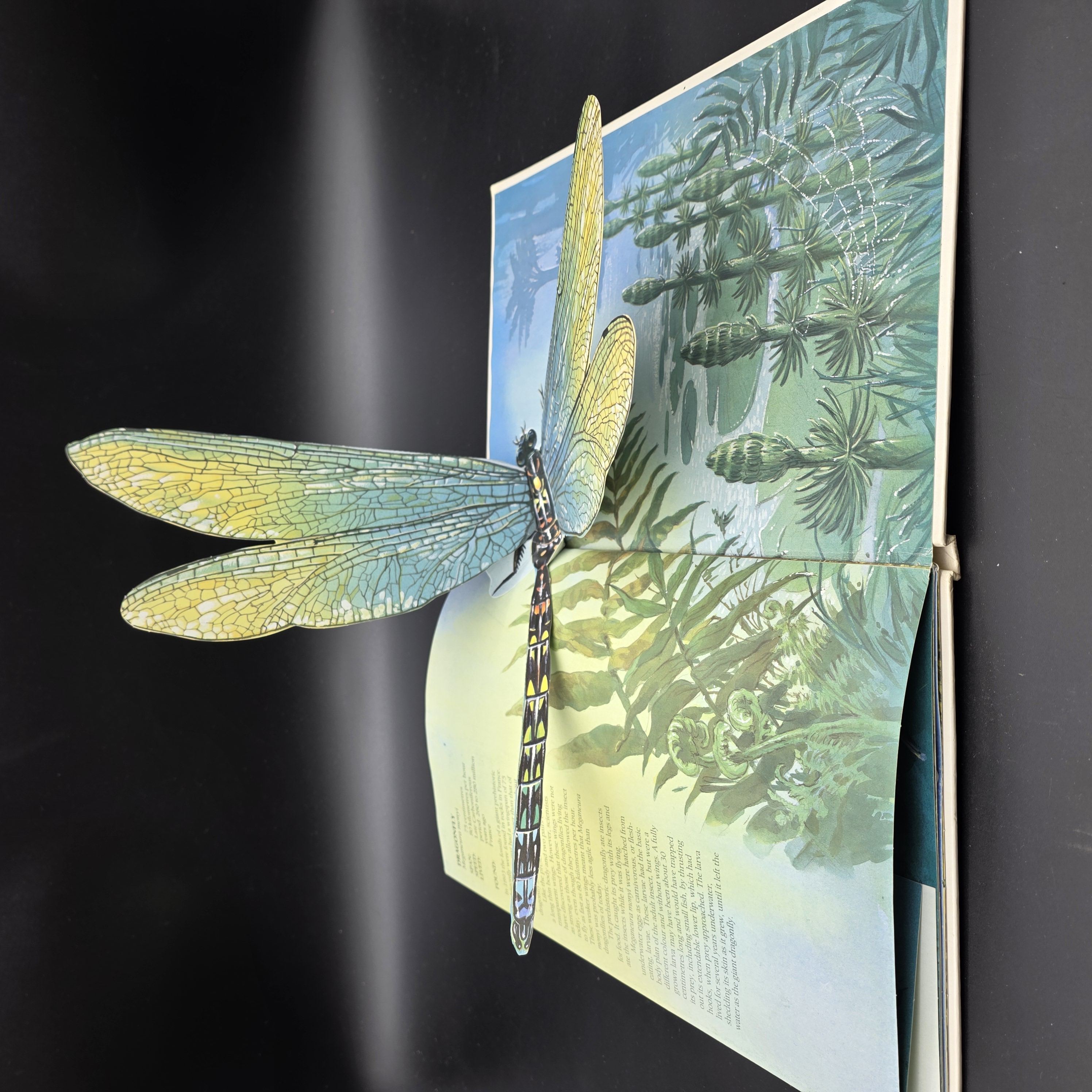 Giant Creatures Past & Present Pop-up Book by Clare Watson (Hardcover, 1990) 1st — Lot 052, photograph 5