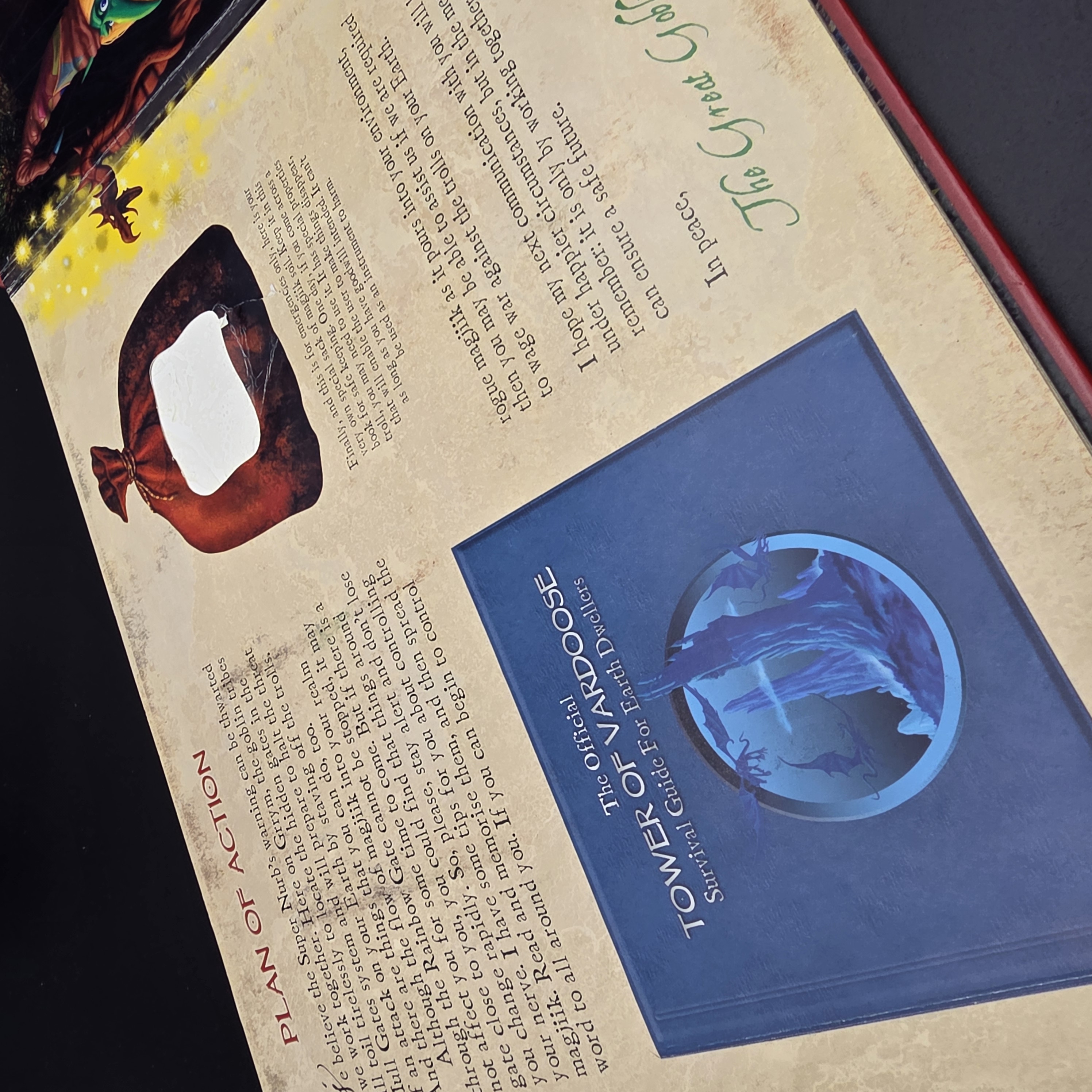Goblins The Outer Realm by Danny Willis (Hardcover, 2006) Childrens Fantasy Map — Lot 094, photograph 6