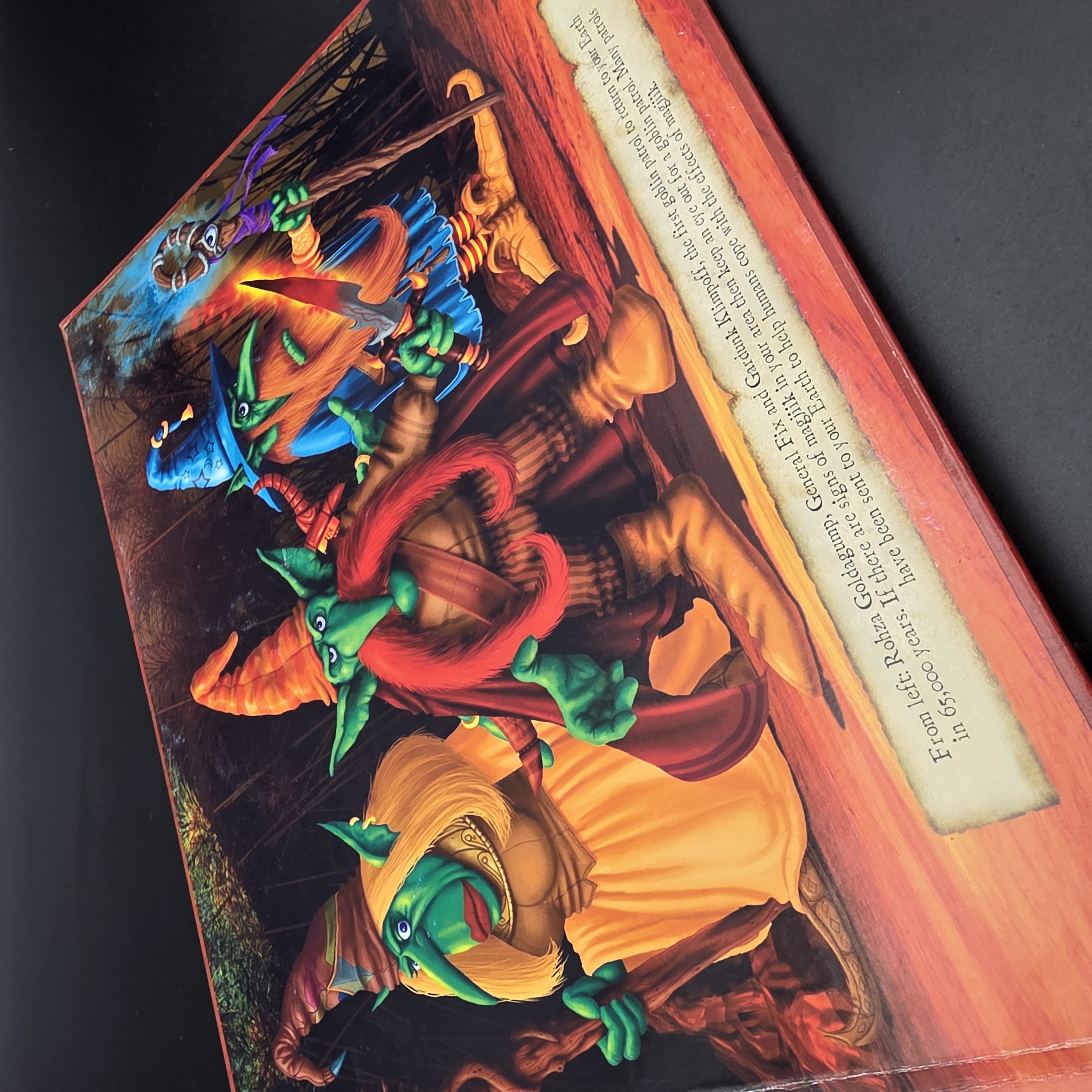 Goblins The Outer Realm by Danny Willis (Hardcover, 2006) Childrens Fantasy Map — Lot 094, photograph 7