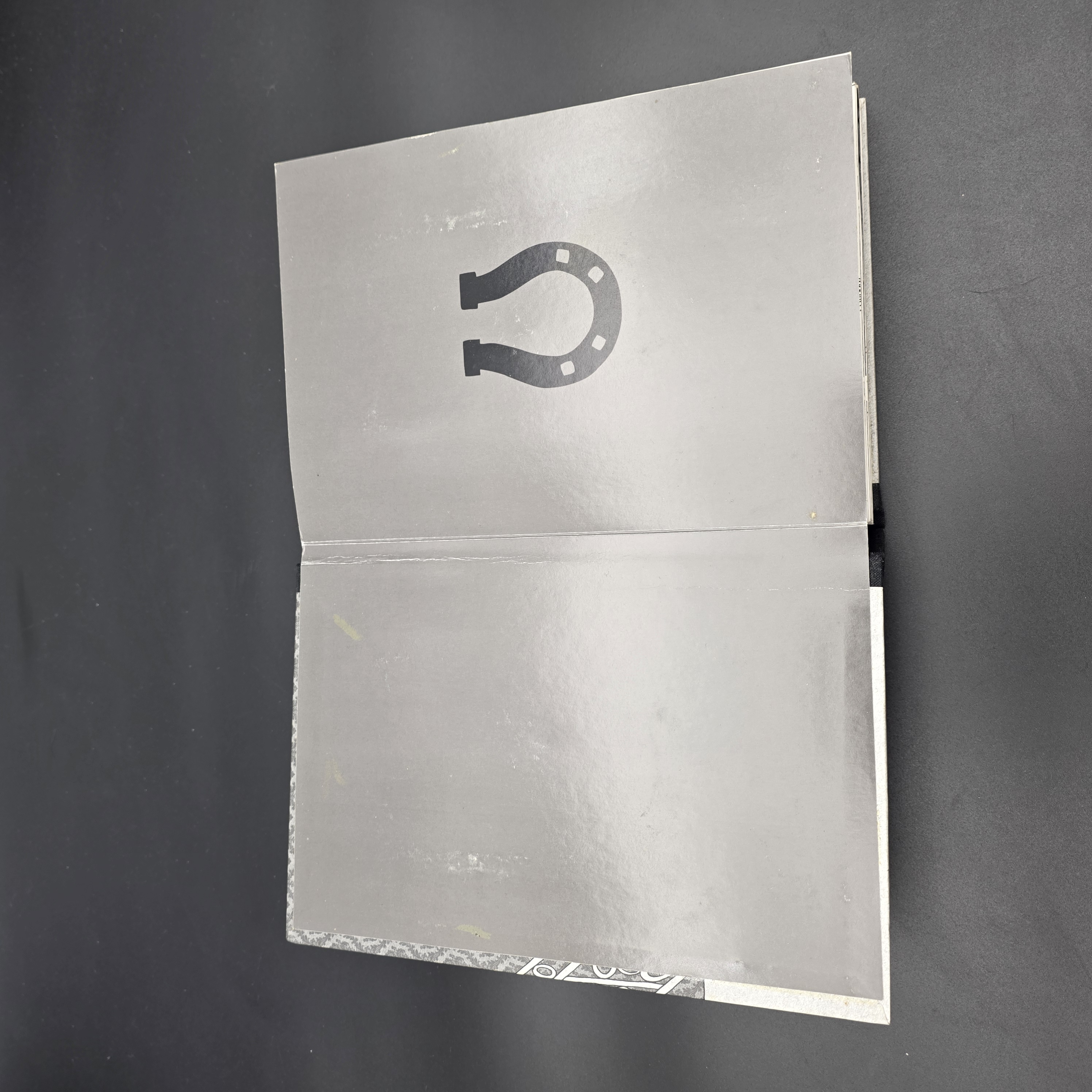 Guide for the Unlucky by Kyle Bean (Hardcover, 2010) Folklore Mythology Humor — Lot 055, photograph 3