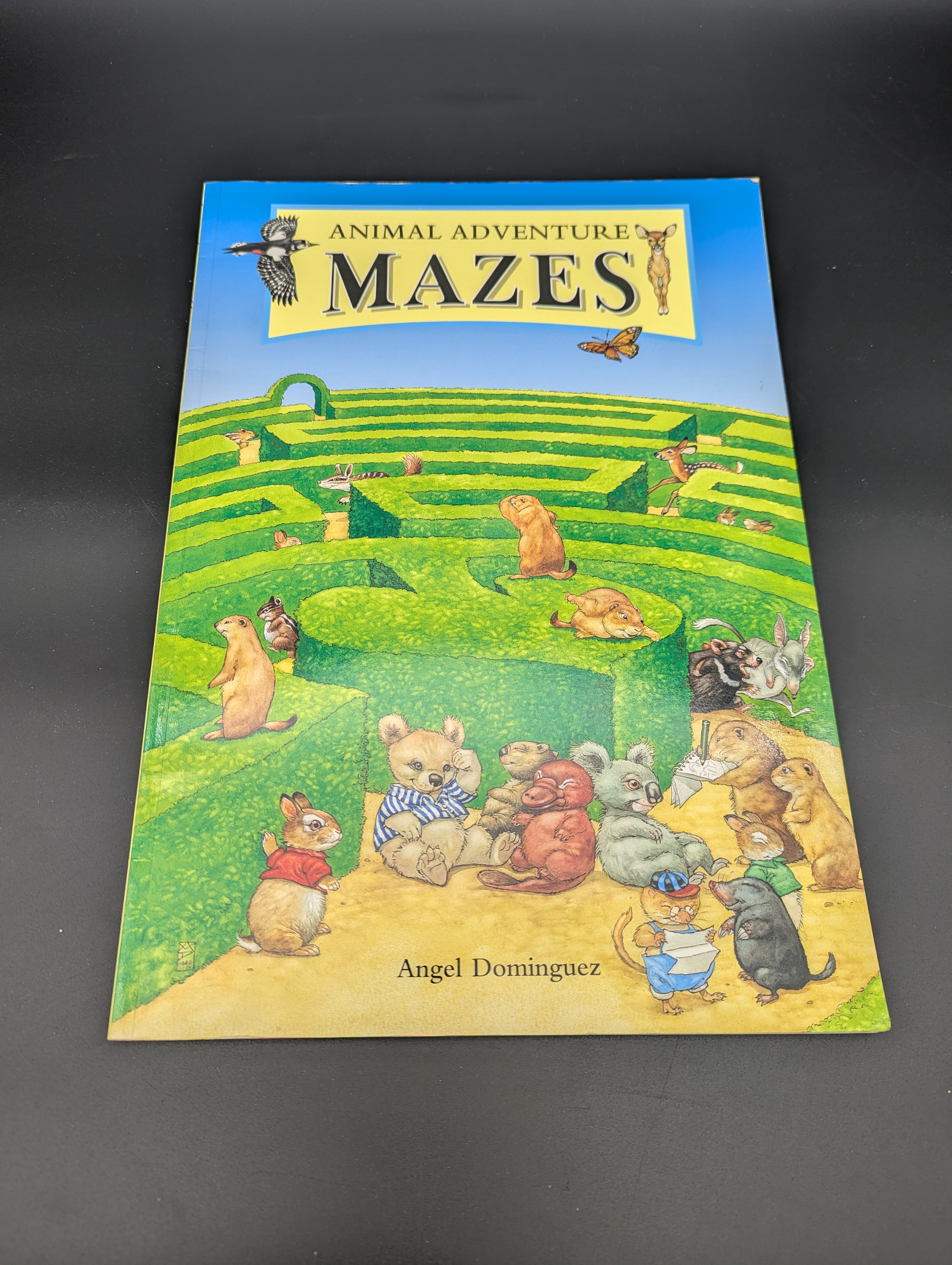 Animal Adventure Mazes by Angel Dominguez (unknown_binding, 1999) 1st Ed Illust — Lot 097, photograph 1