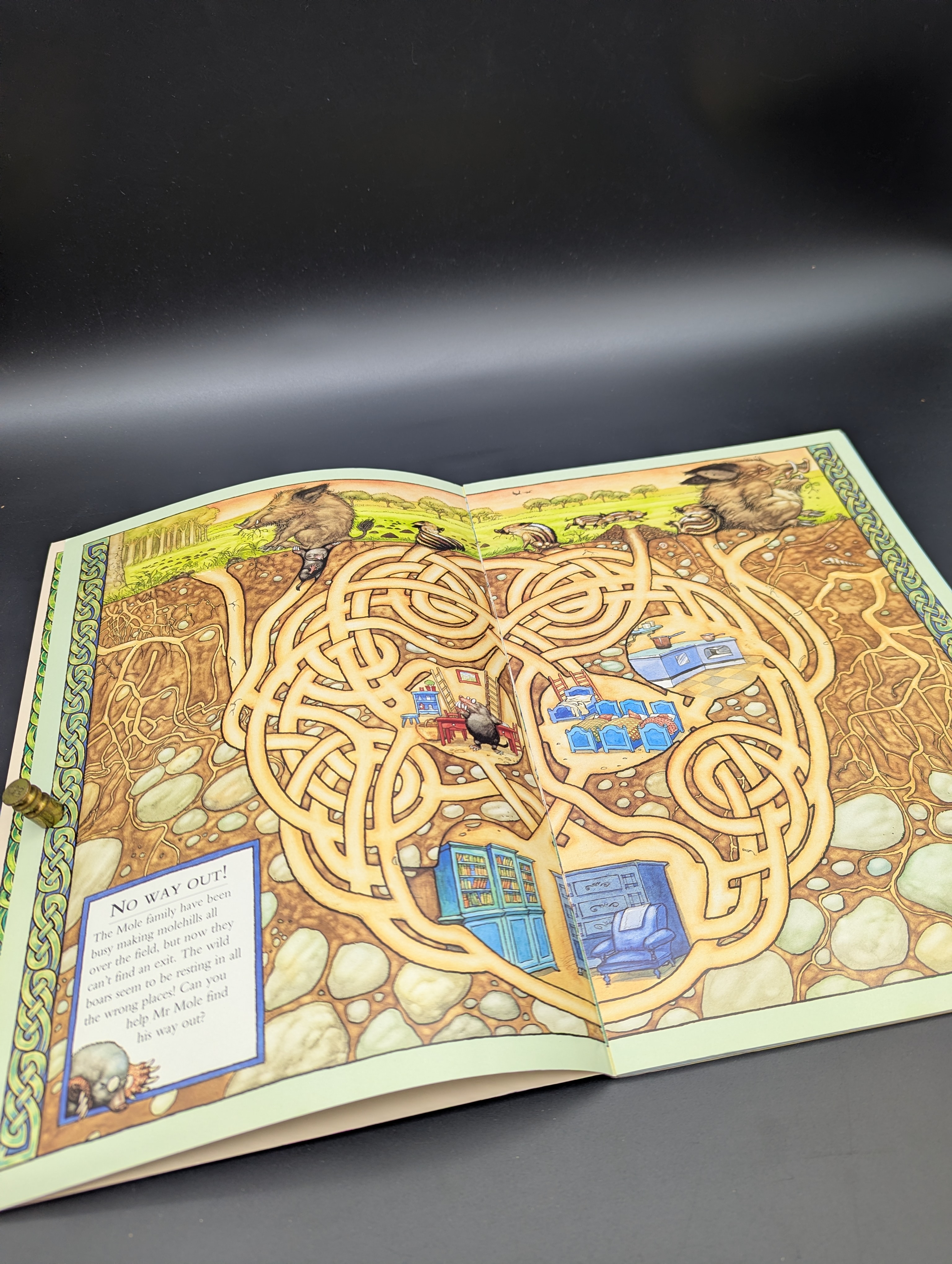 Animal Adventure Mazes by Angel Dominguez (unknown_binding, 1999) 1st Ed Illust — Lot 097, photograph 5