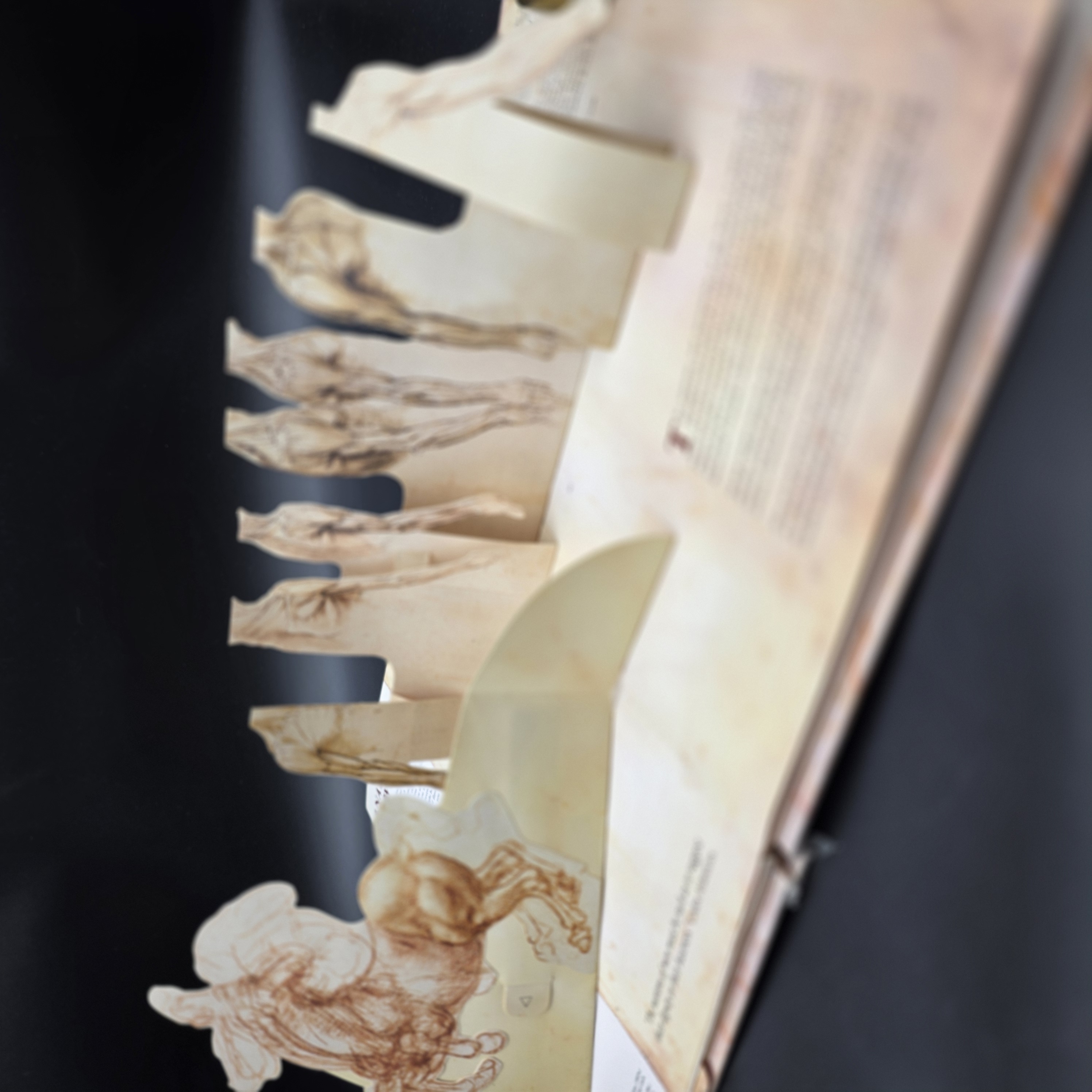 Leonardo Da Vinci A Three-dimensional Study by Jerome R Corsi (Hardcover, 1995) — Lot 062, photograph 5