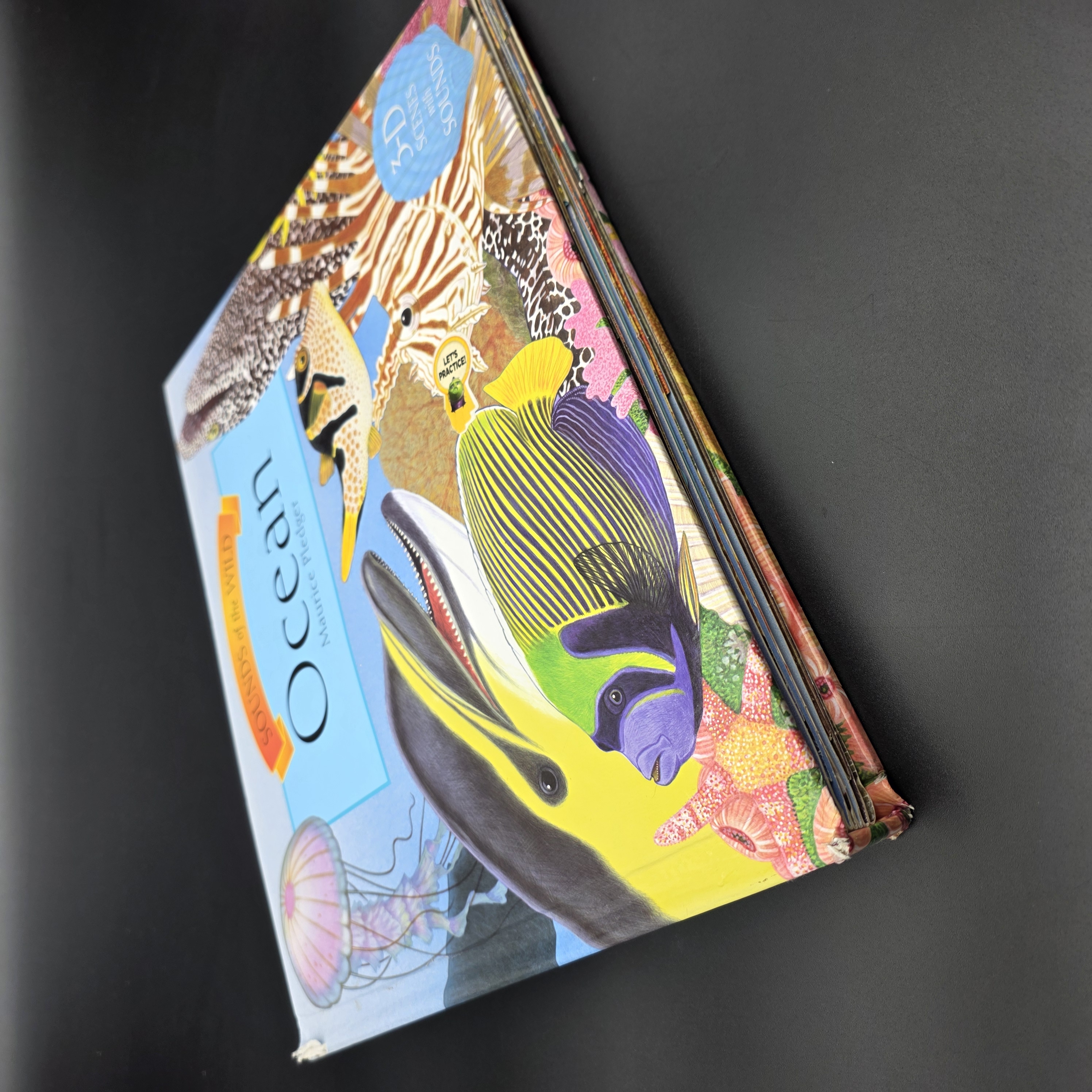 Ocean by Maurice Pledger (Hardcover, 2007) Pop-Up Sound Kids Marine Life — Lot 073, photograph 2