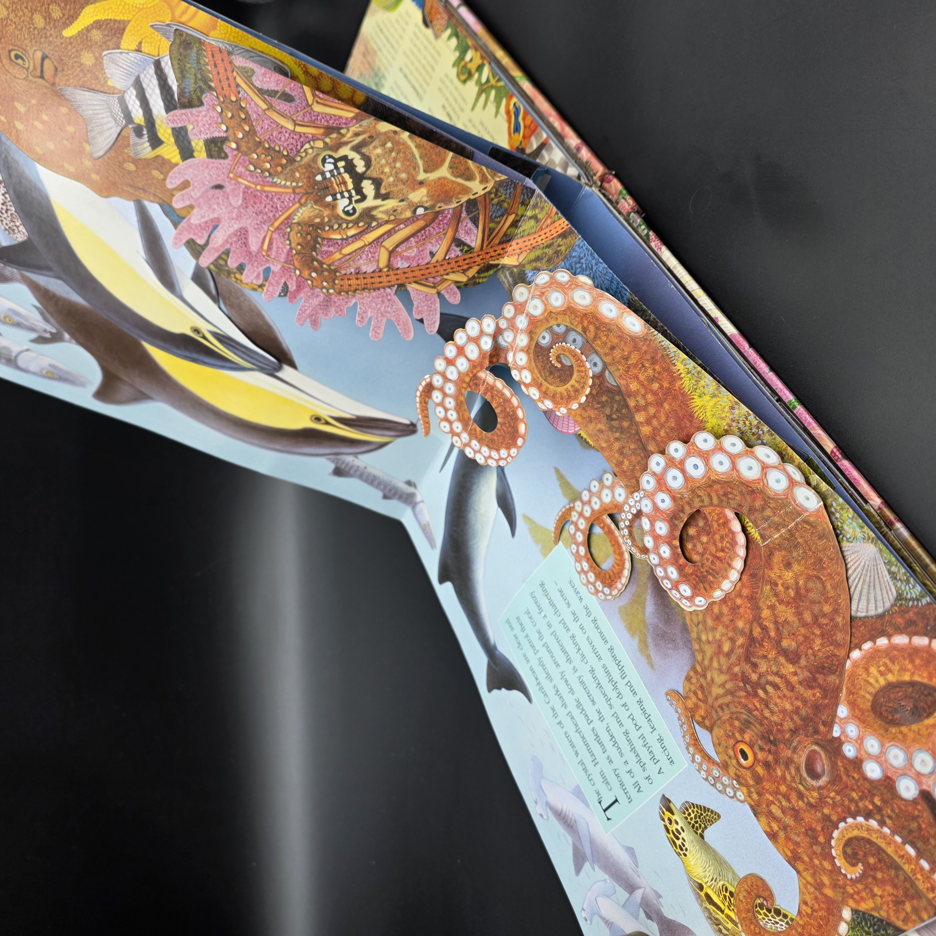 Ocean by Maurice Pledger (Hardcover, 2007) Pop-Up Sound Kids Marine Life — Lot 073, photograph 4