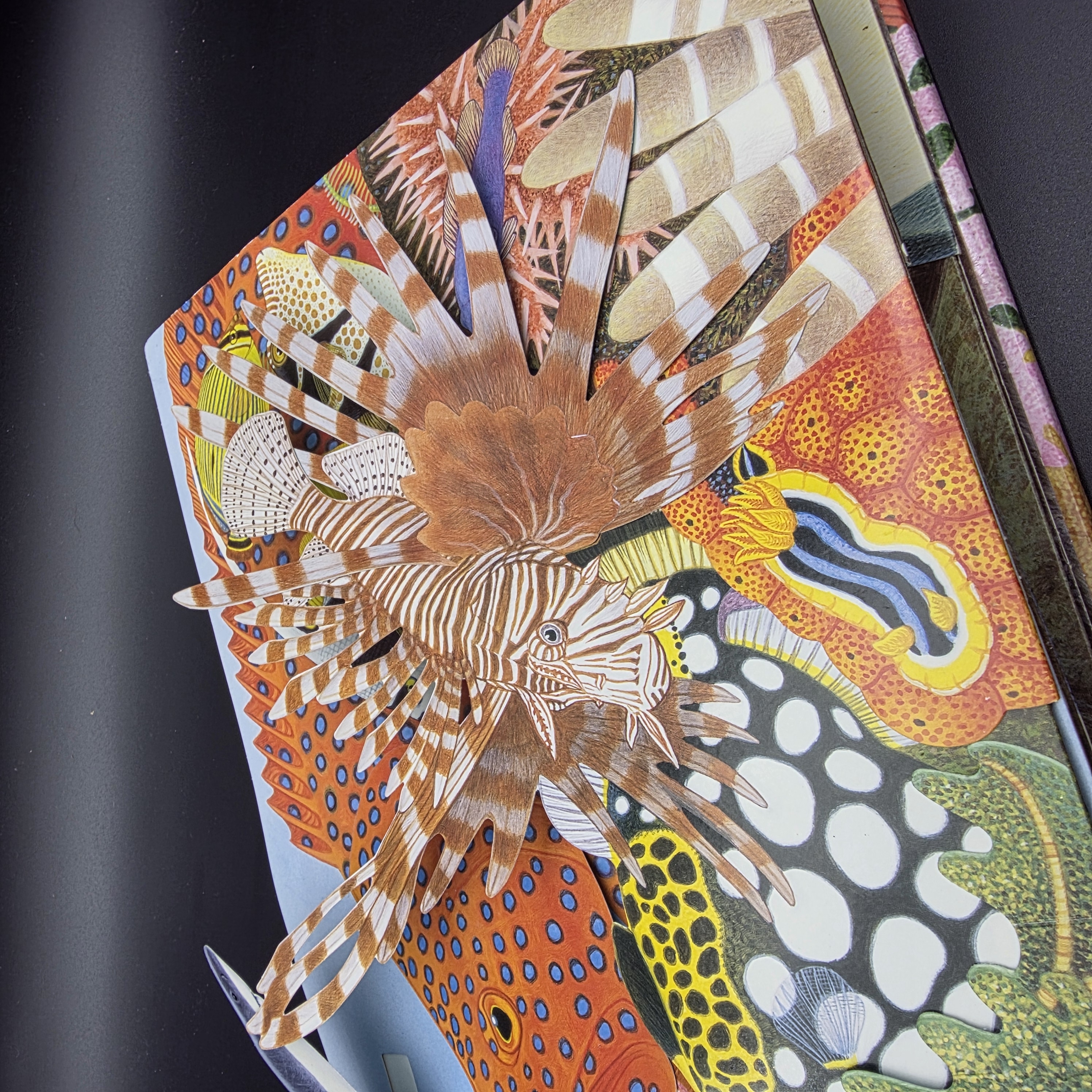 Ocean by Maurice Pledger (Hardcover, 2007) Pop-Up Sound Kids Marine Life — Lot 073, photograph 6