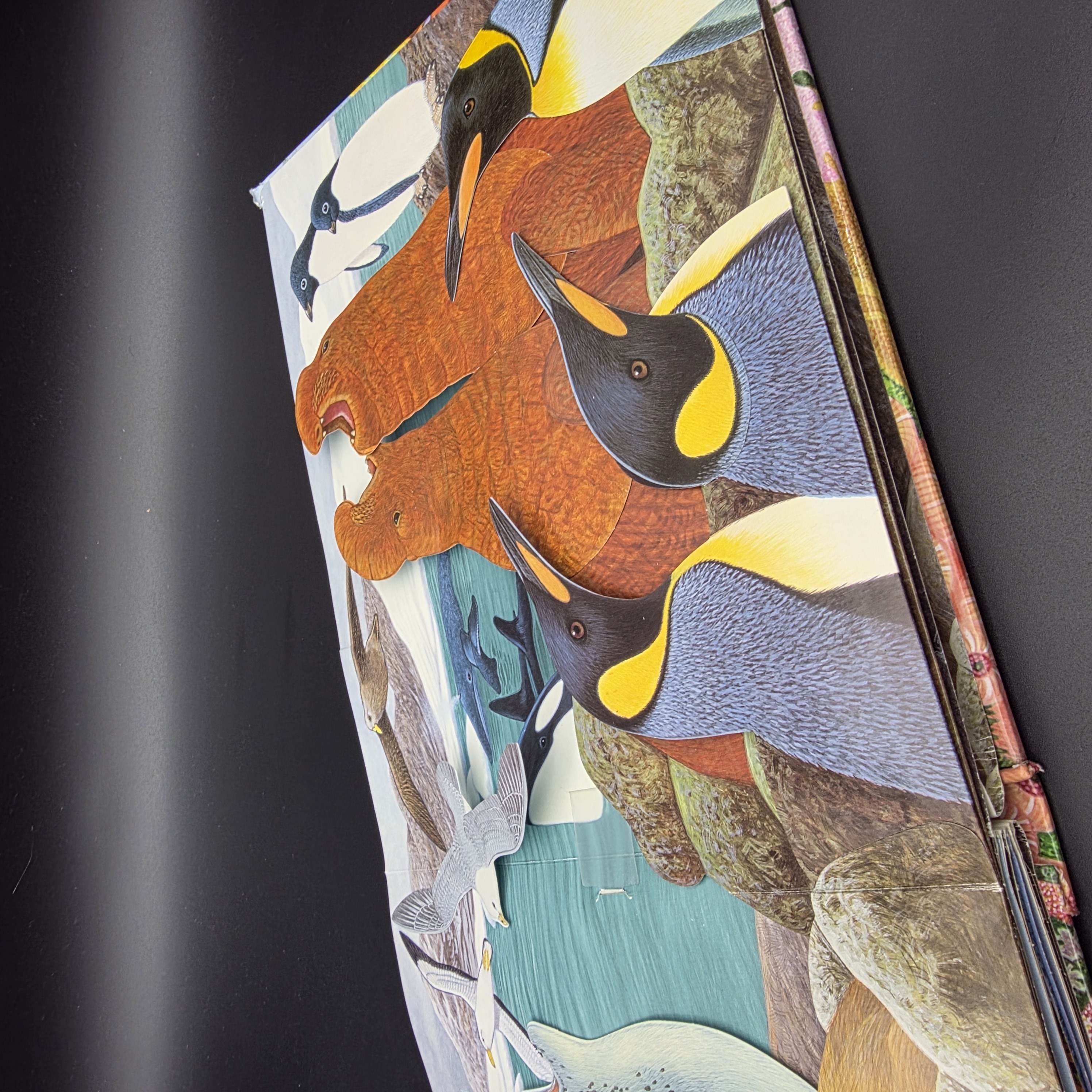 Ocean by Maurice Pledger (Hardcover, 2007) Pop-Up Sound Kids Marine Life — Lot 073, photograph 7
