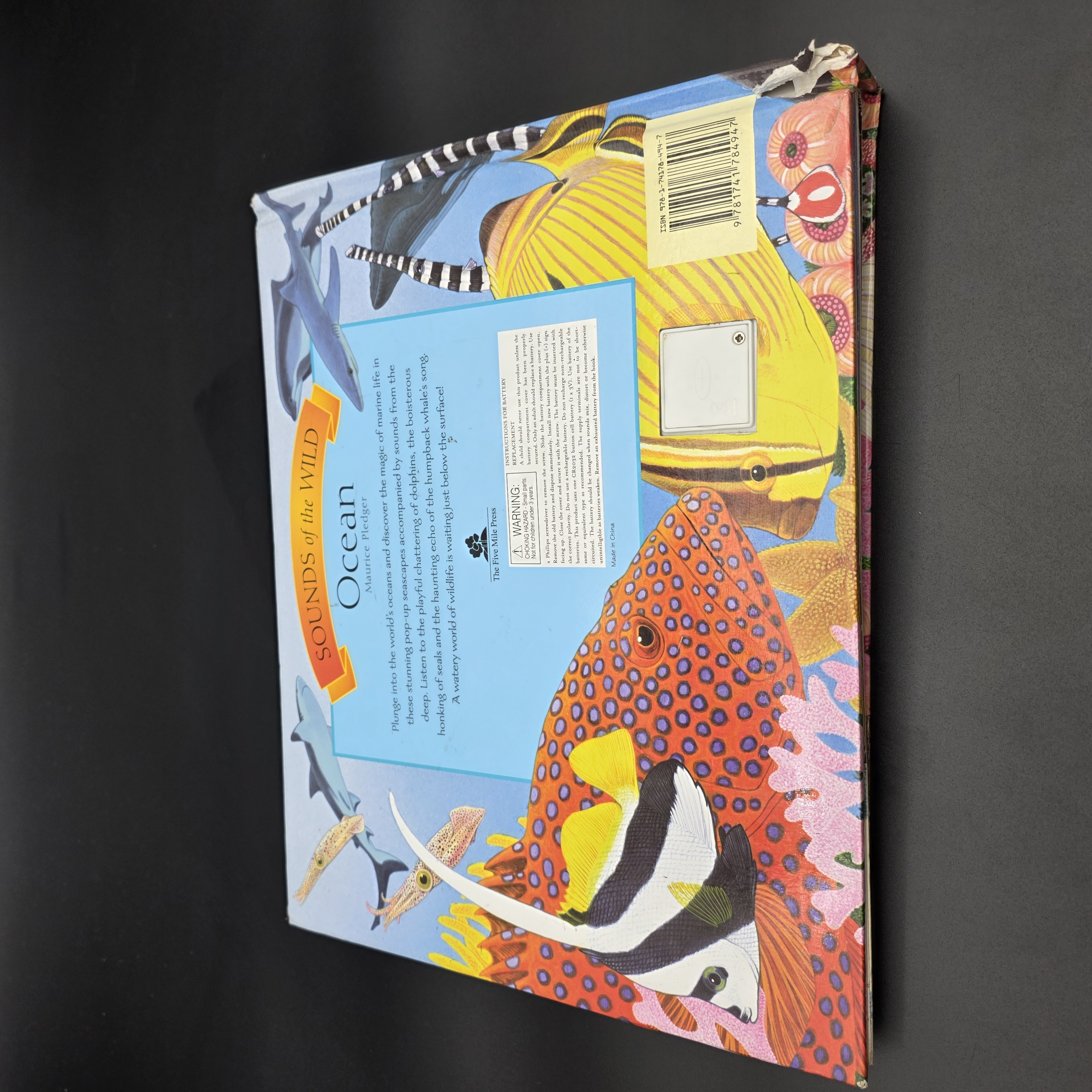 Ocean by Maurice Pledger (Hardcover, 2007) Pop-Up Sound Kids Marine Life — Lot 073, photograph 8
