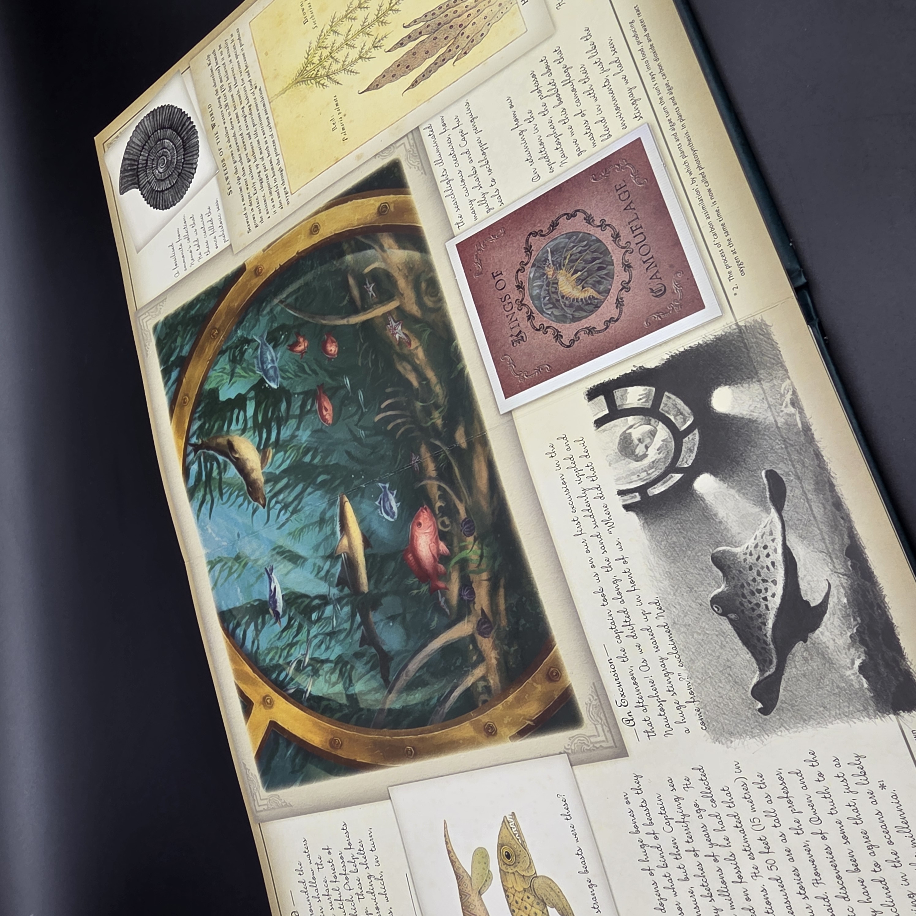 Oceanology The True Account of the Voyage of the Nautilus by Zoticus de Lesseps, — Lot 074, photograph 3