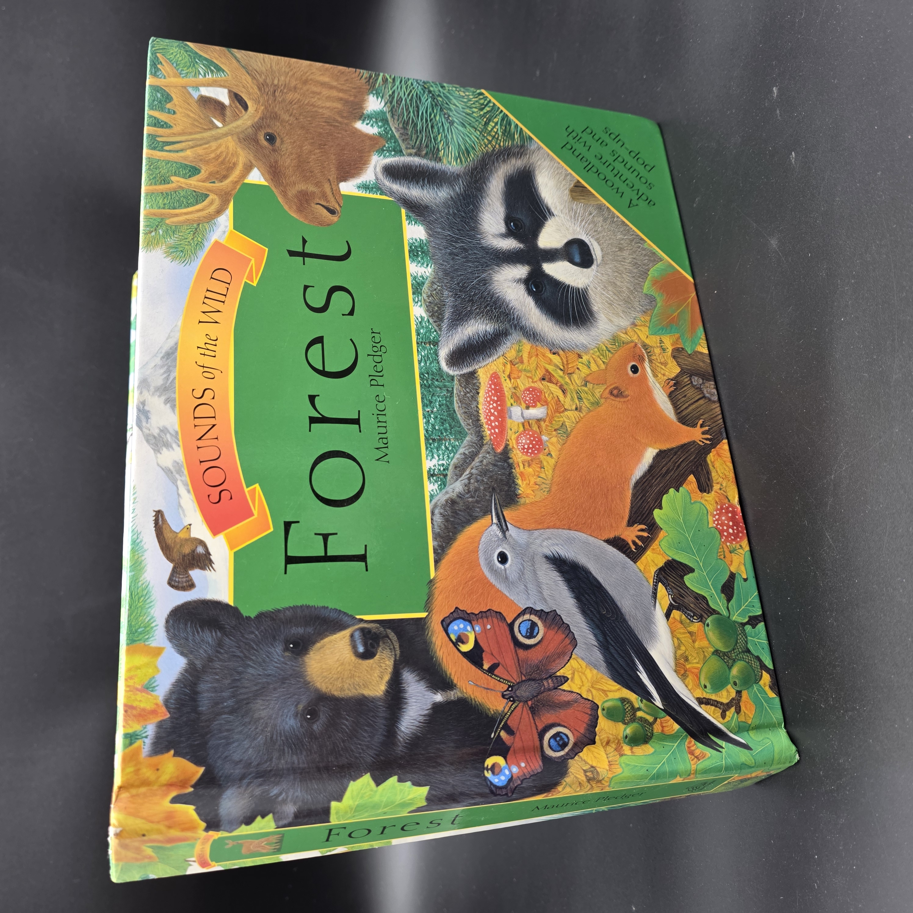 Sounds of the Wild: Forest by Maurice Pledger (Hardcover, 2012) 1st Ed Audio Kid — Lot 077, photograph 2