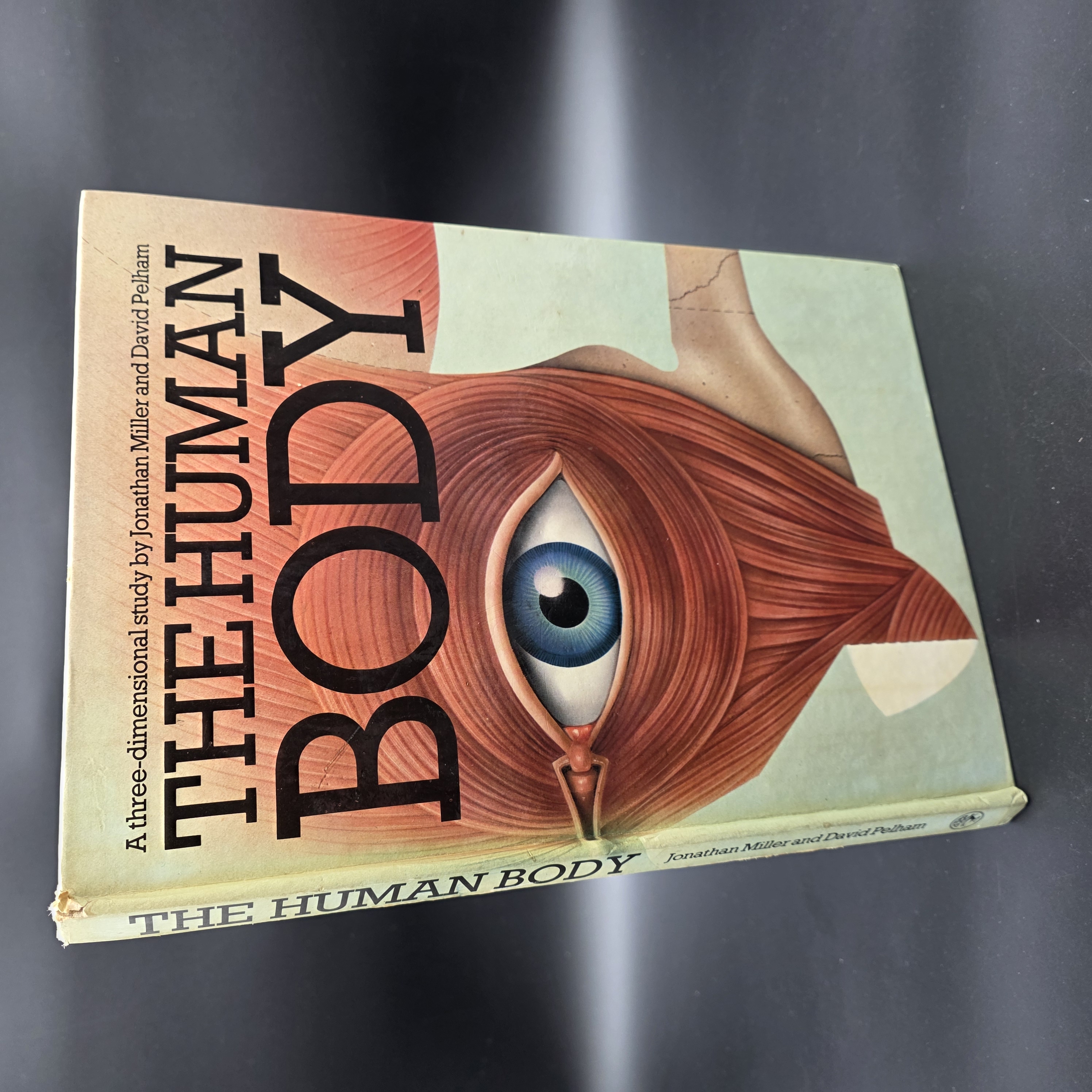 The Human Body A Three-dimensional Study by Jonathan Miller, David Pelham (Hardc — Lot 083, photograph 2