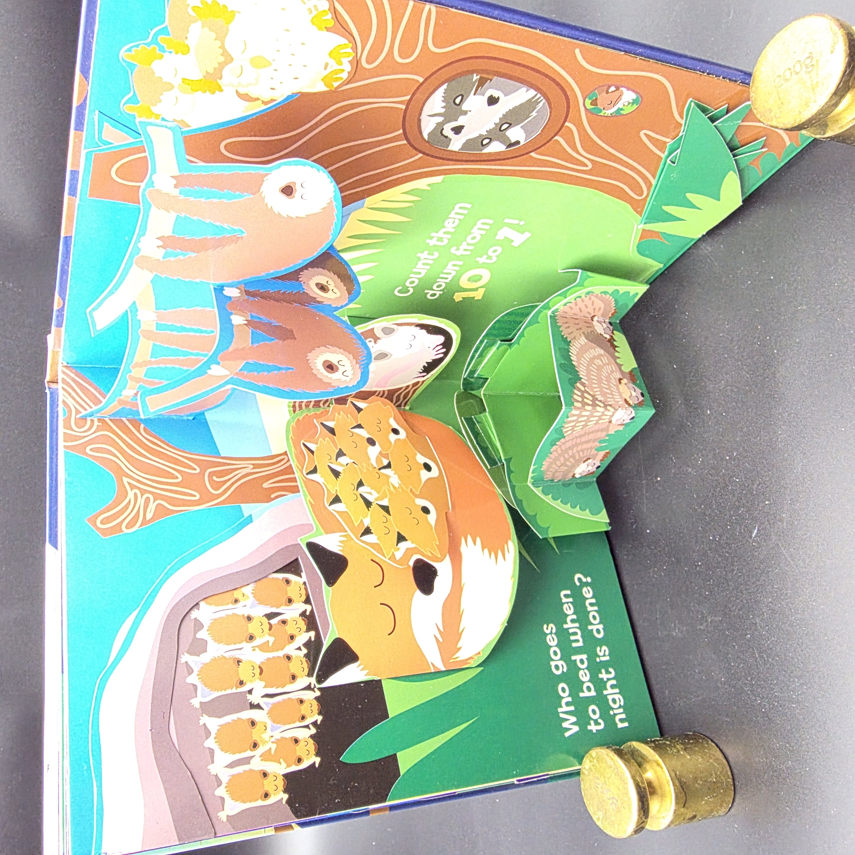 Up All Night Counting A Pop-up Book by Robin Michal Koontz, Robin Koontz, Bruce — Lot 069, photograph 2