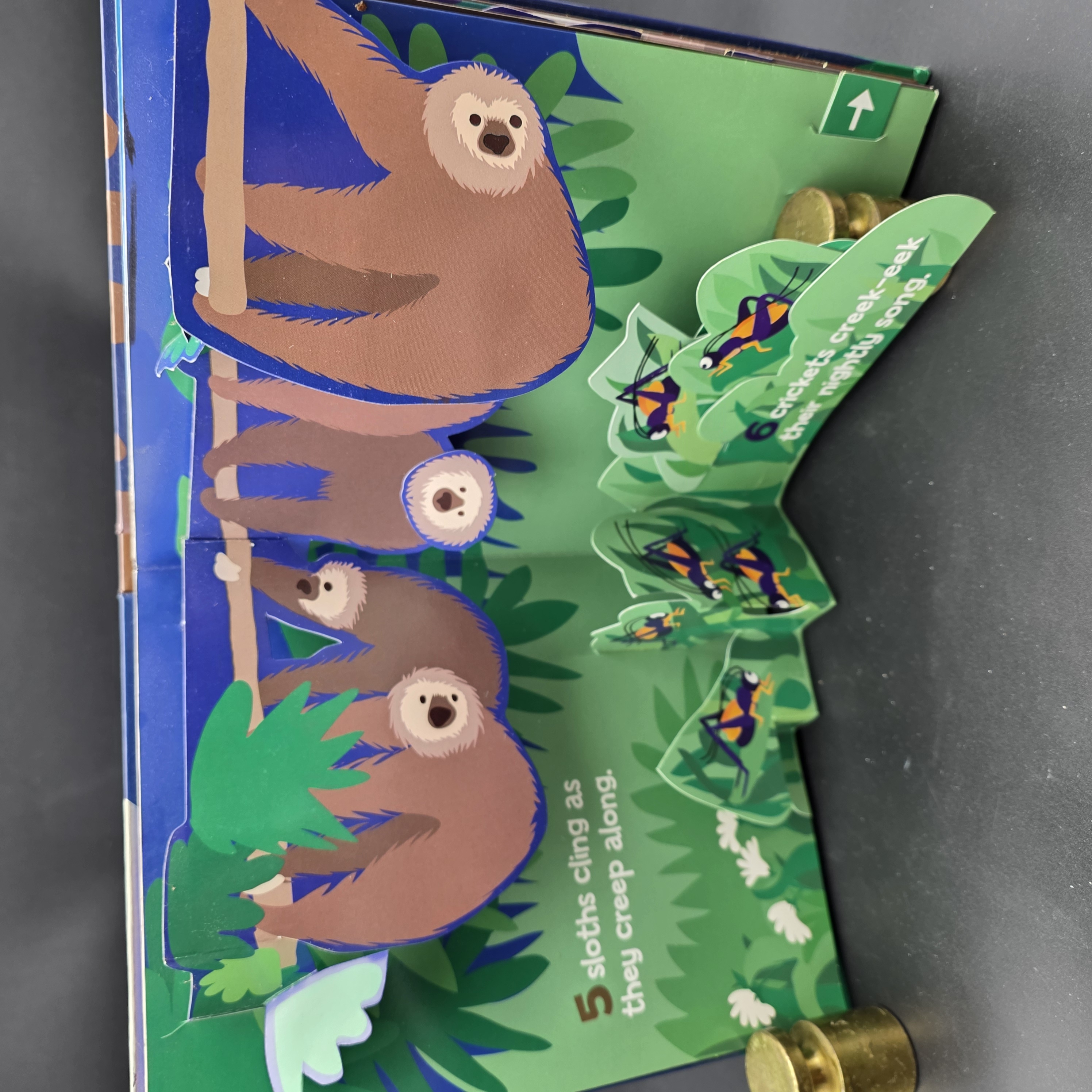Up All Night Counting A Pop-up Book by Robin Michal Koontz, Robin Koontz, Bruce — Lot 069, photograph 4