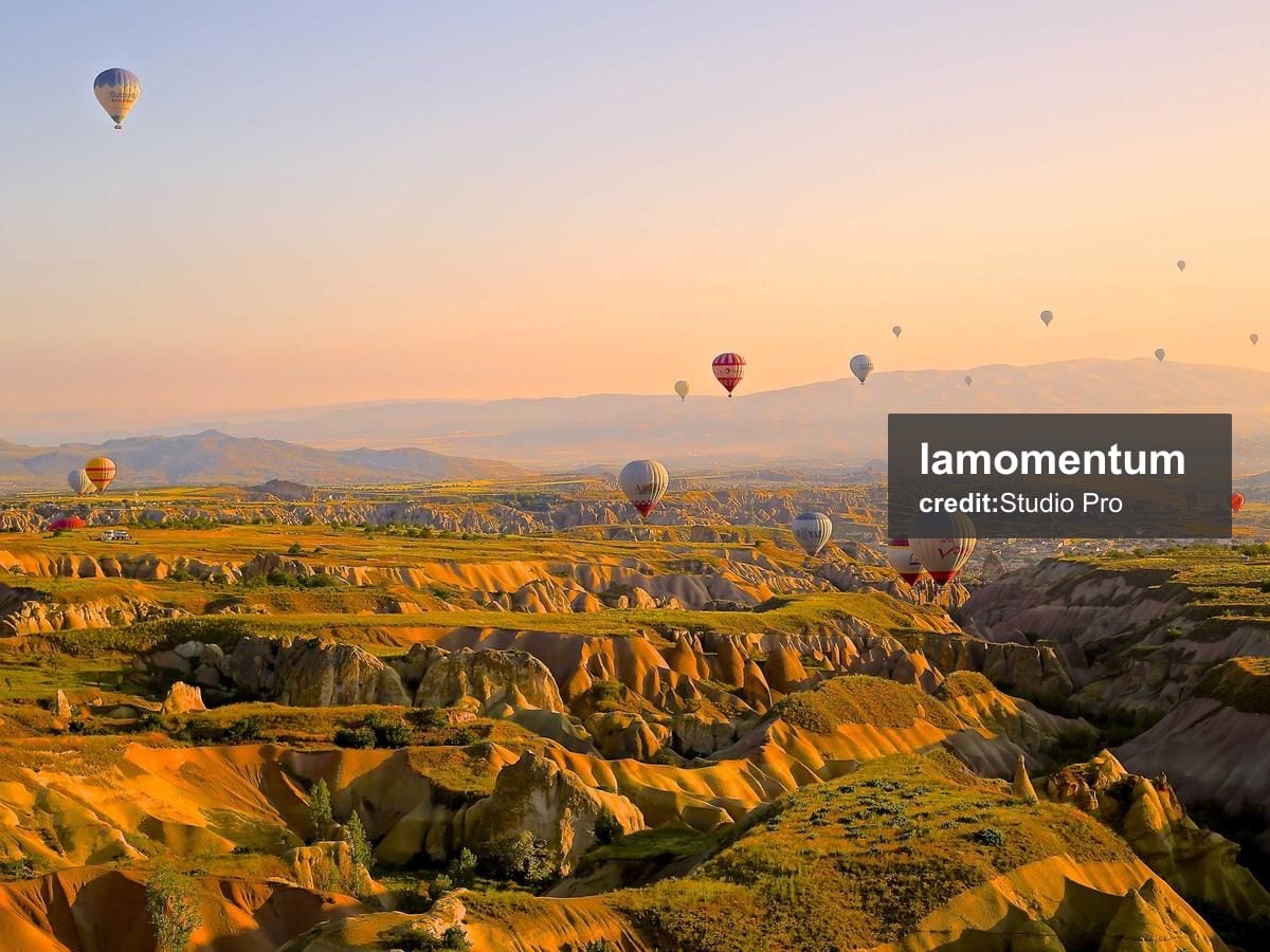 GP Brazil F1 — Pit Stop