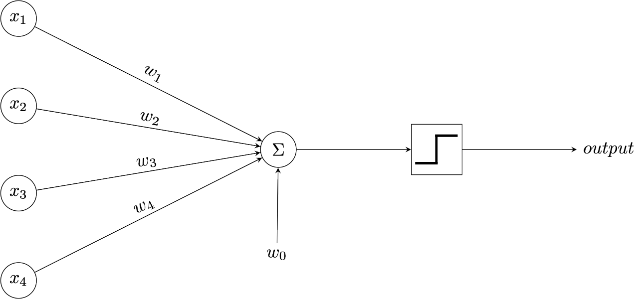 Graph Representation of the Perceptron