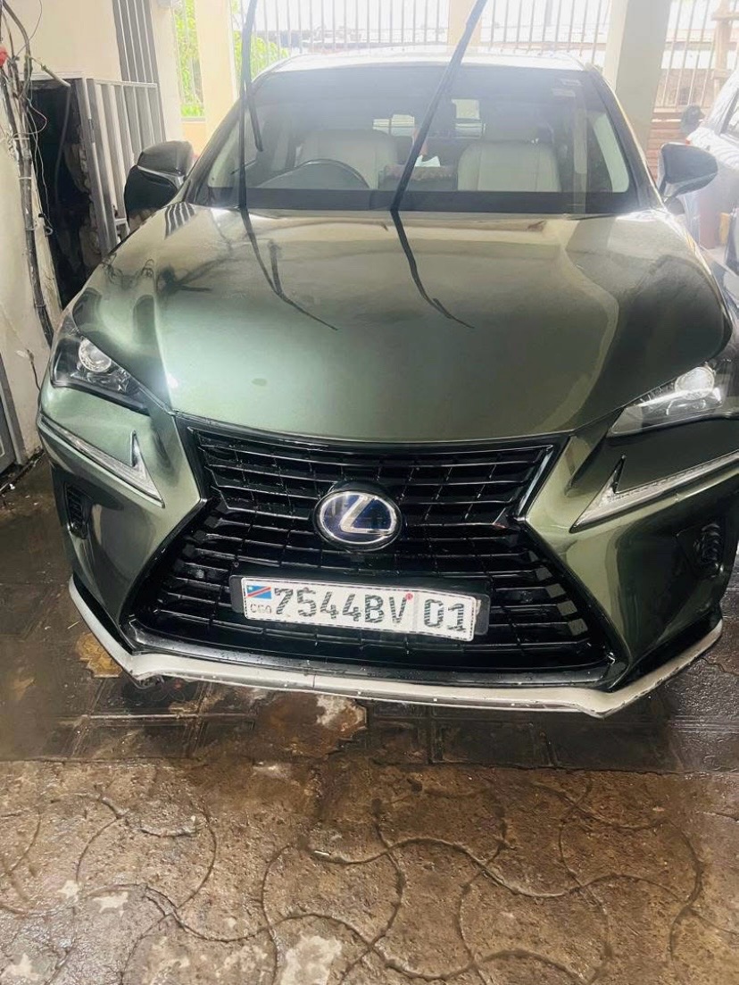 Lexus NX300H