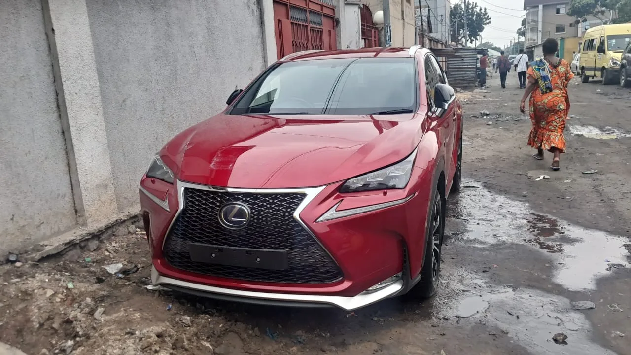 LEXUS NX300
