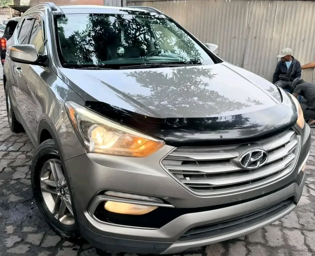 Hyundai santafe fe